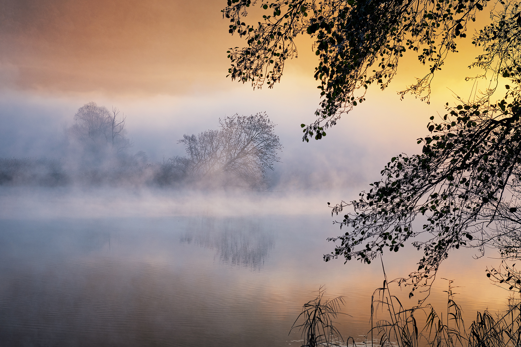 Mystical vision