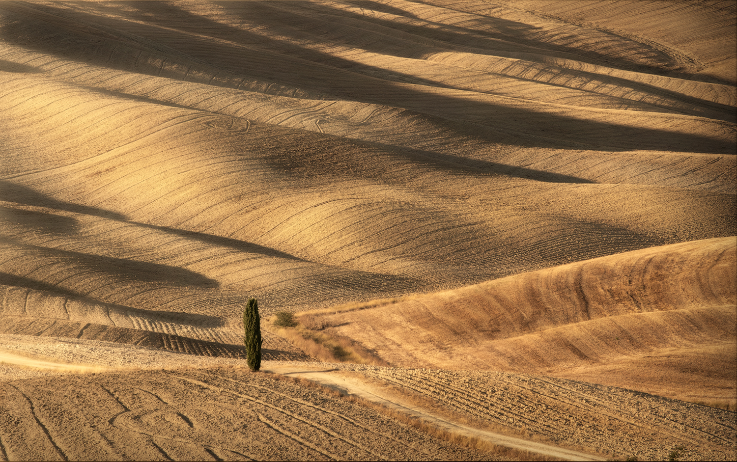 Onde di terra