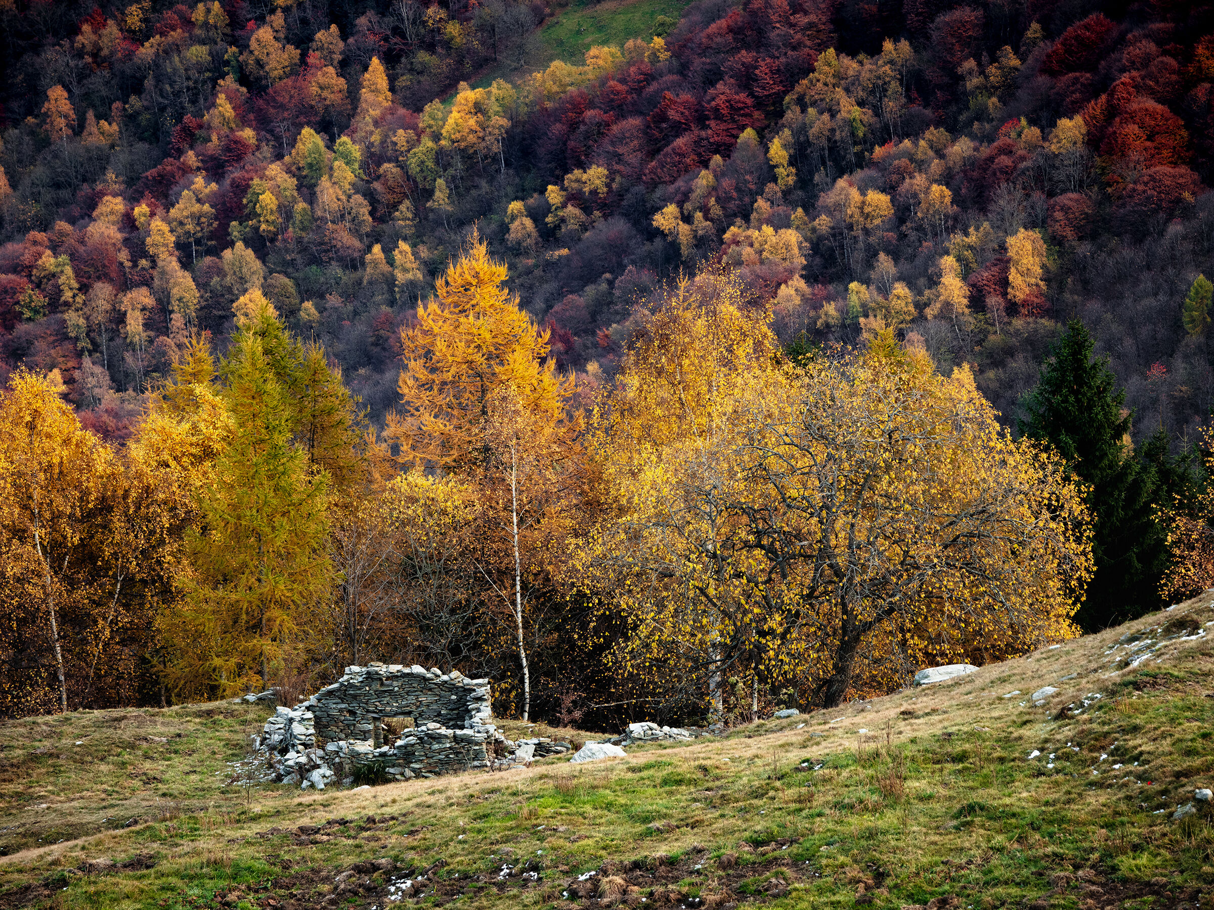 Autumn palette