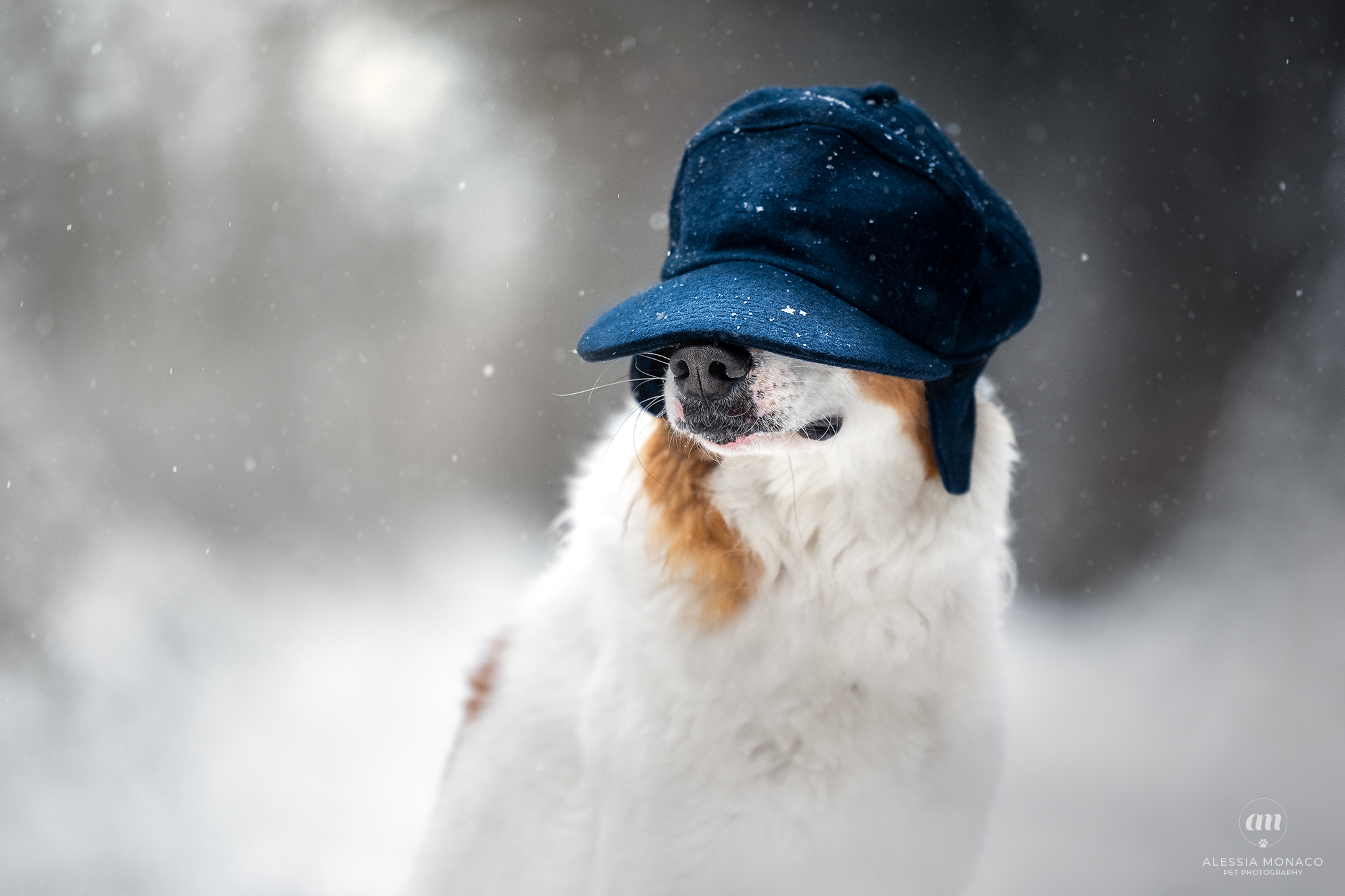 Il cappello del nonno