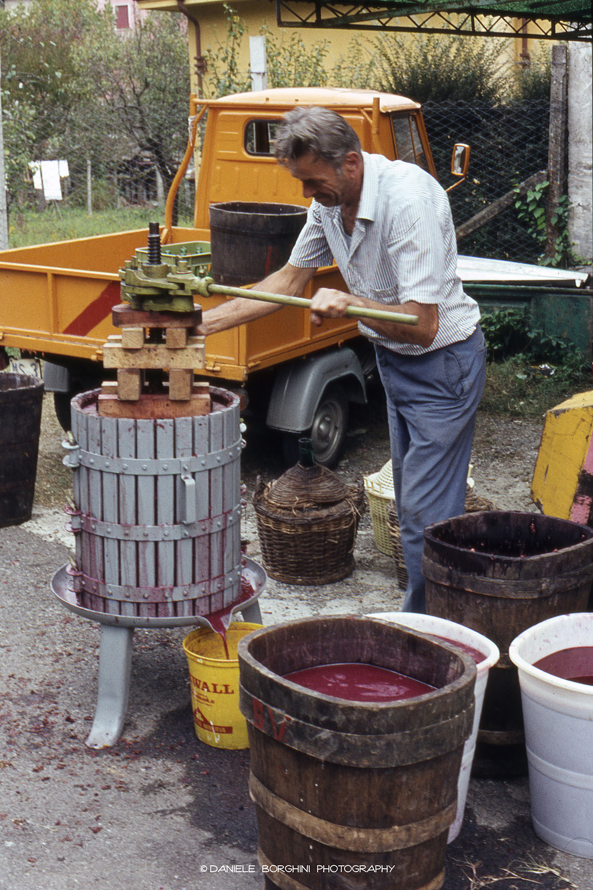 Braccia per la vendemmia