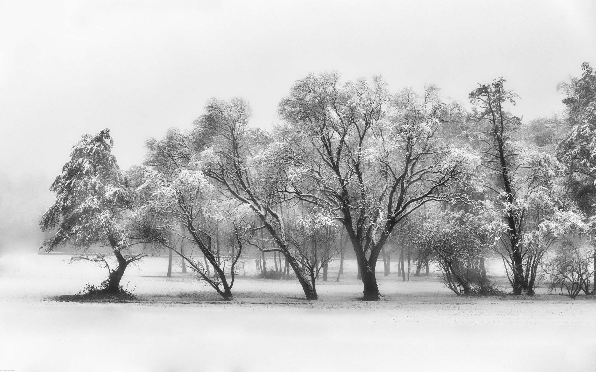 The last snow that fell