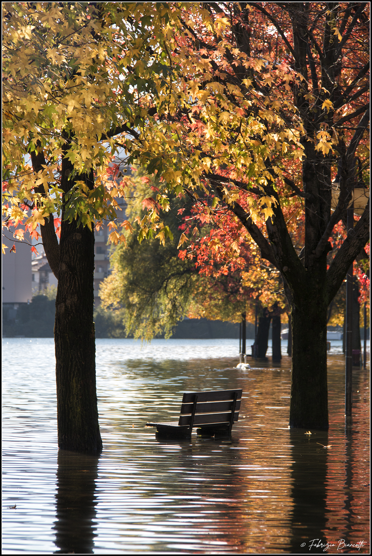 An Autumn different from the usual