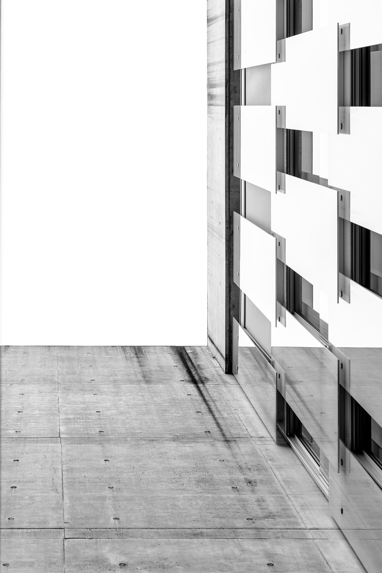 Bocconi dettaglio II