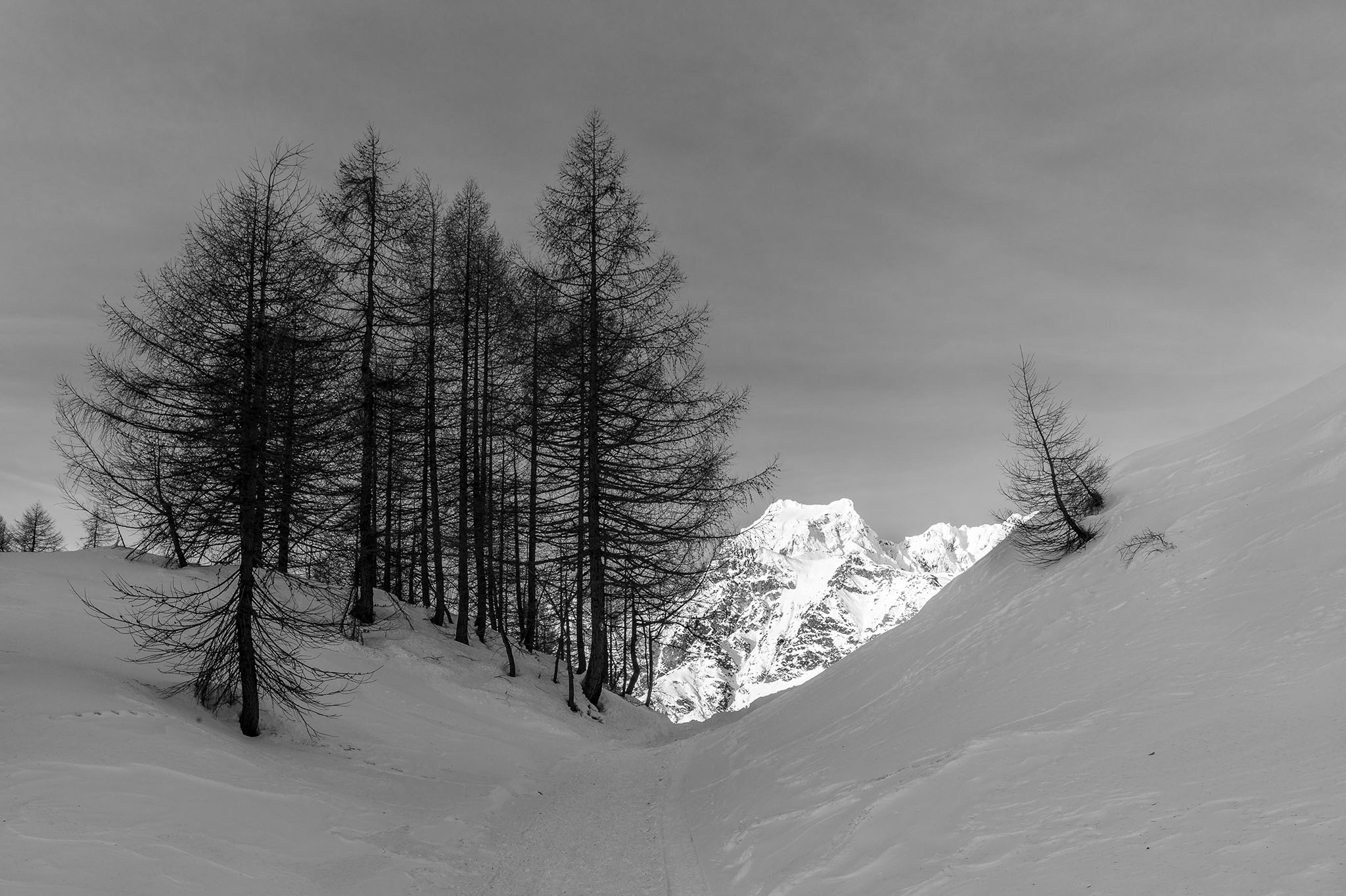 La forza della luce.