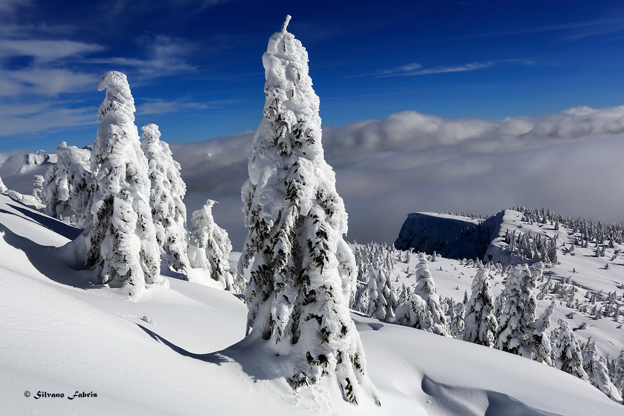 Paradise exists for d'avvero