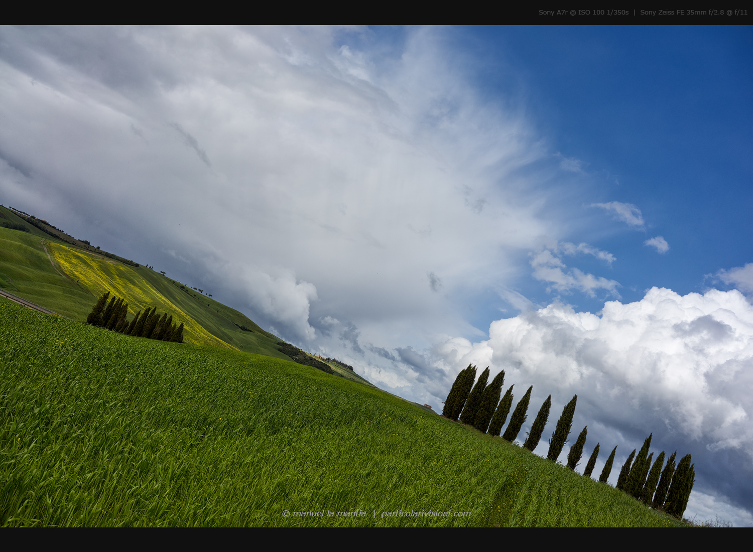 Val d'Orcia - Cypresses