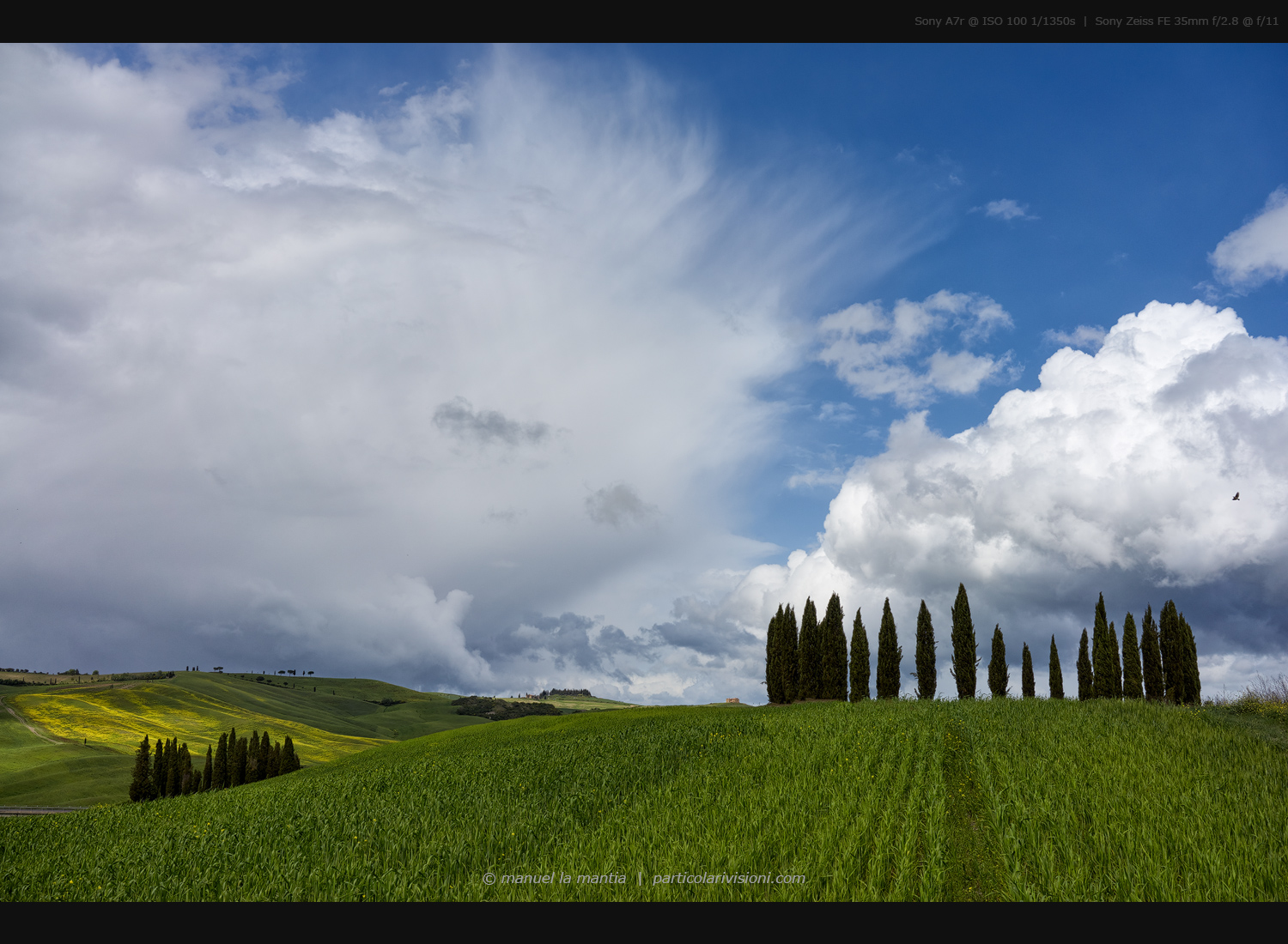 Val d'Orcia - Cypresses