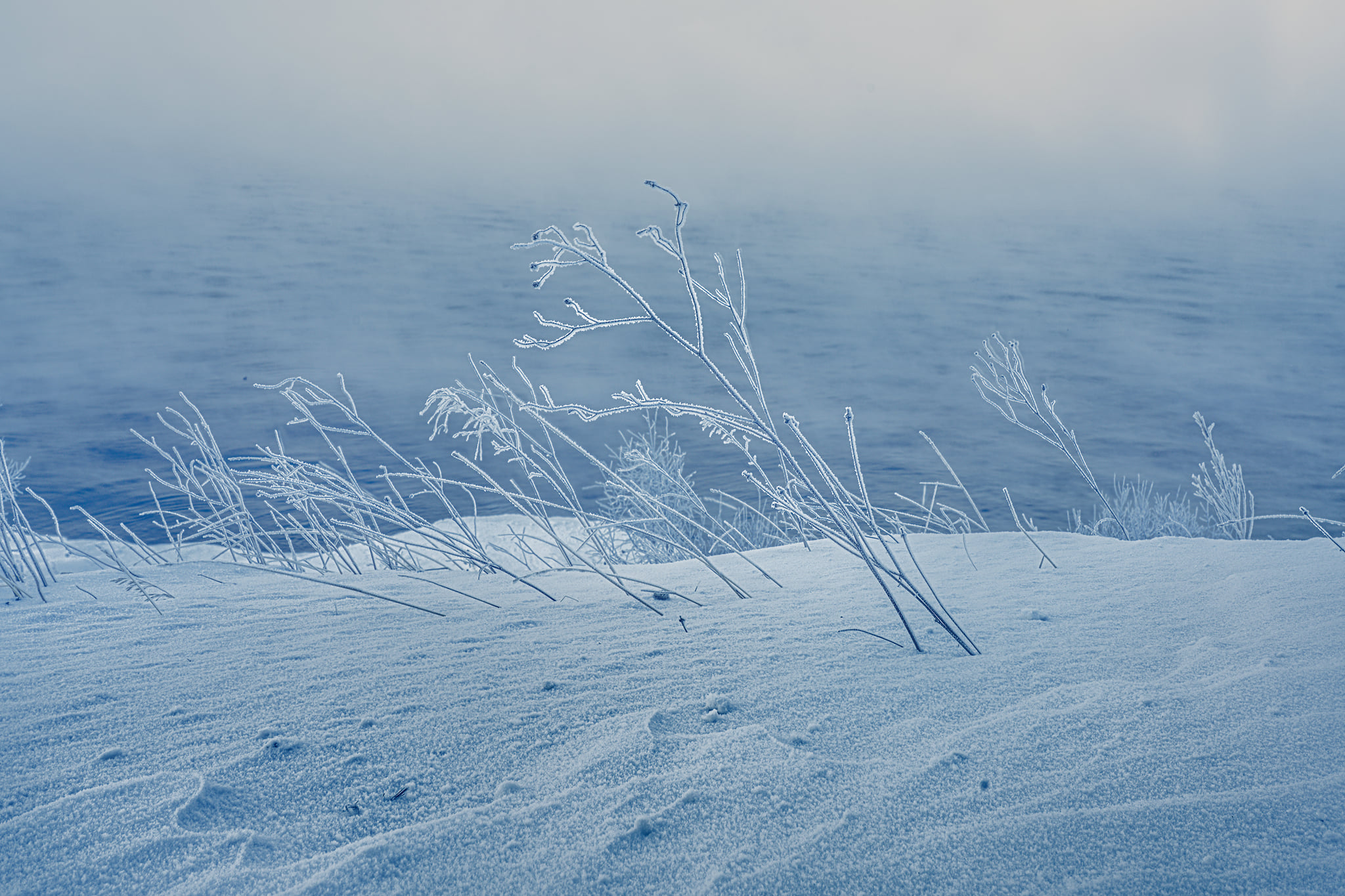 The source of the Angara