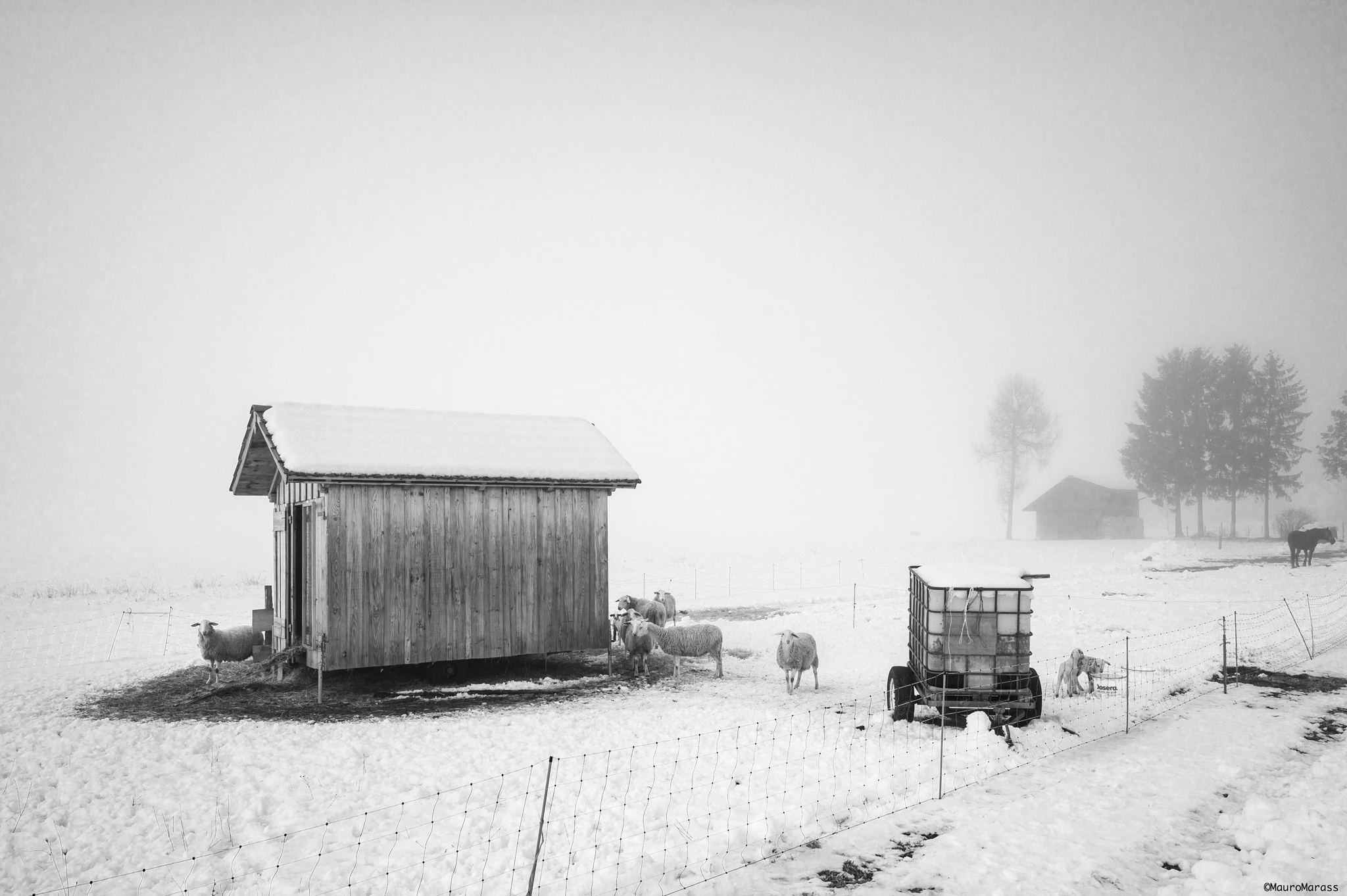 Arriva l'inverno II