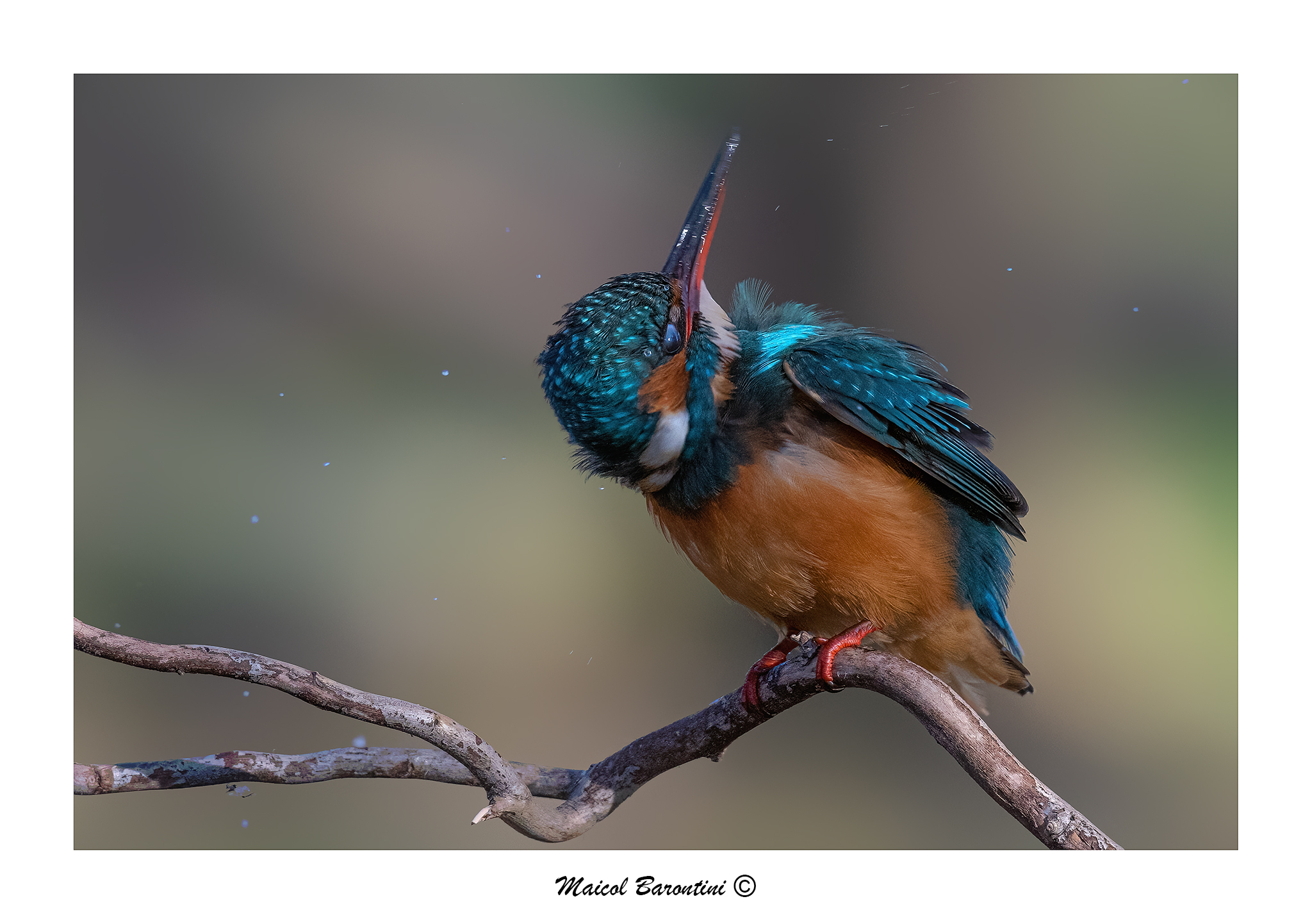 No... Non va bene..!!