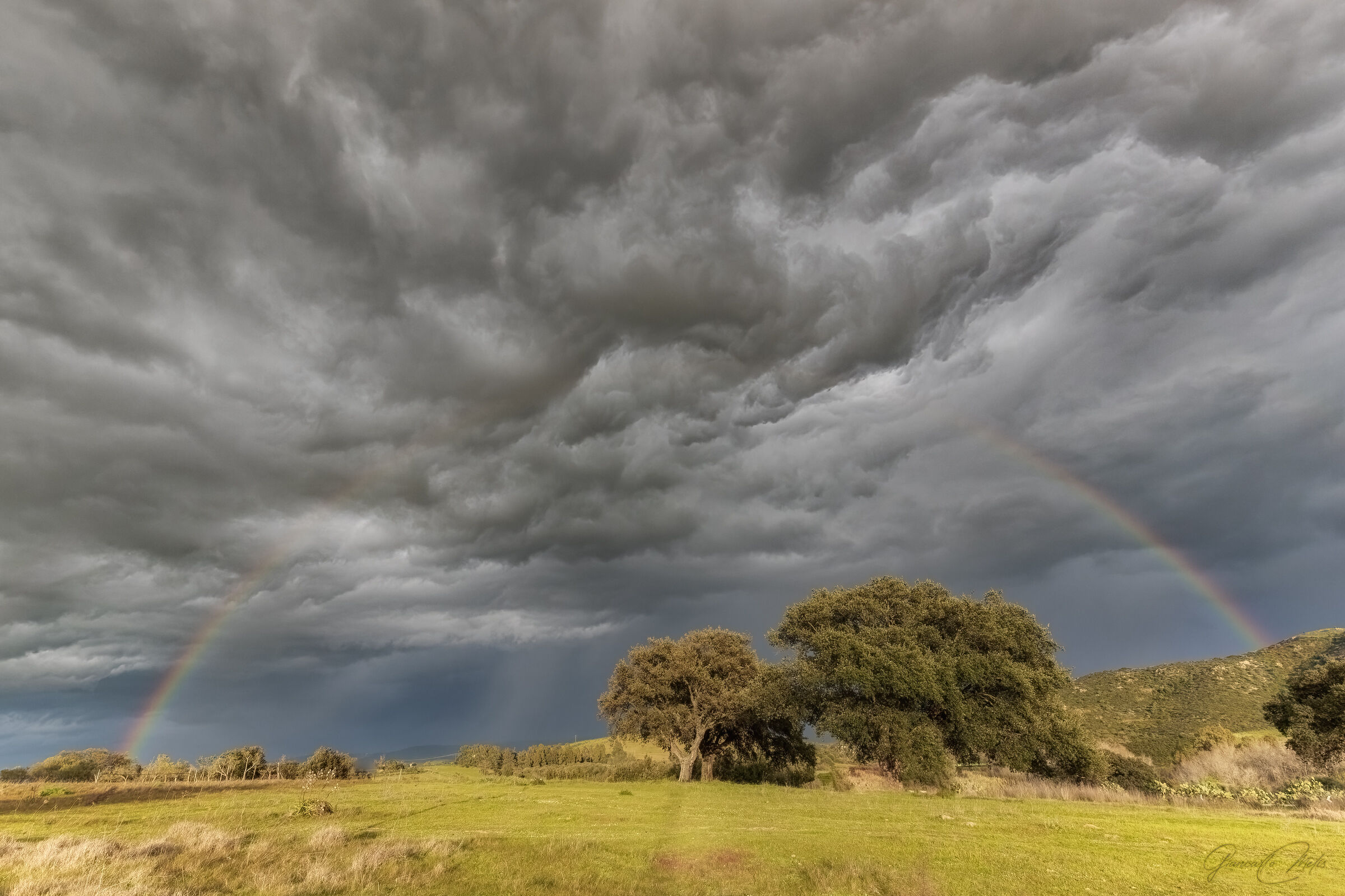 After the storm