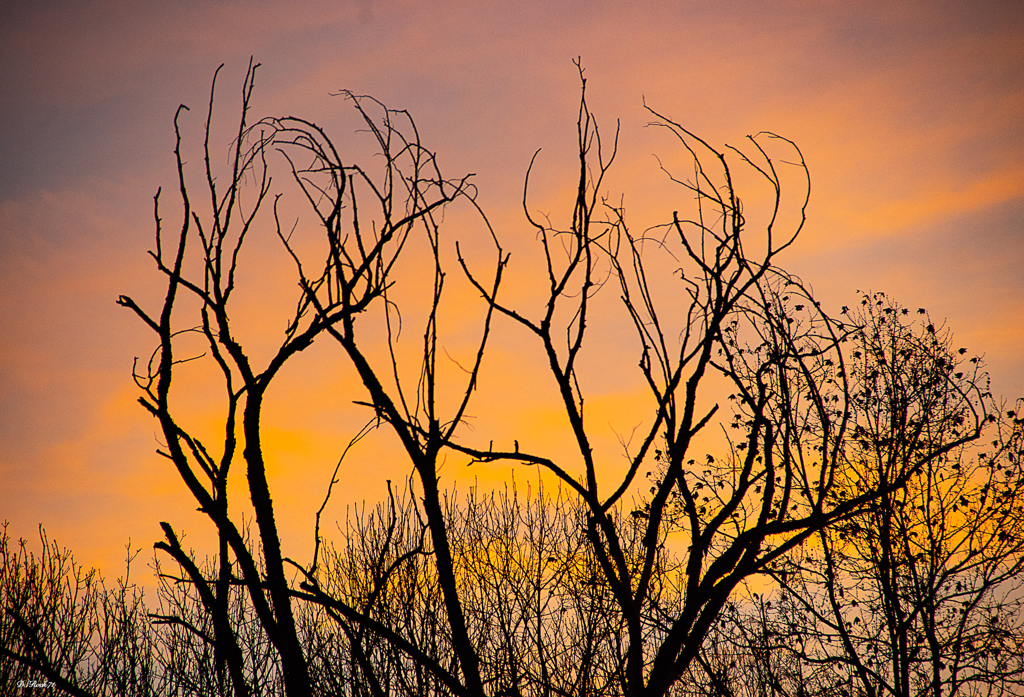 tramonto sulla vecchia ferrovia