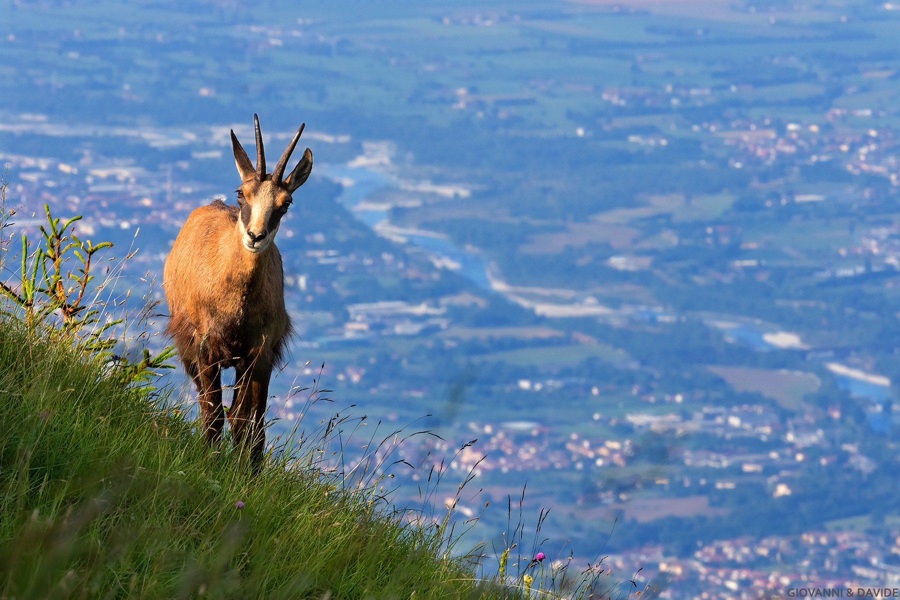 ... the last slope...