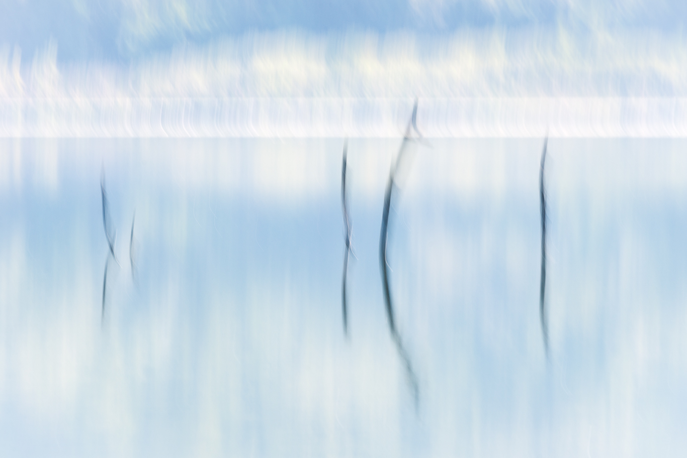Mystic on the lake