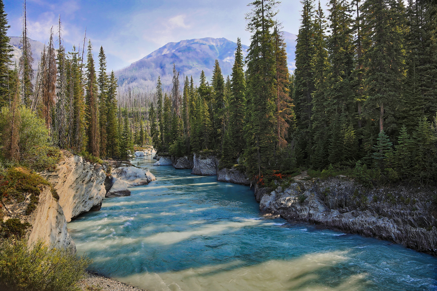 bella columbia britannica