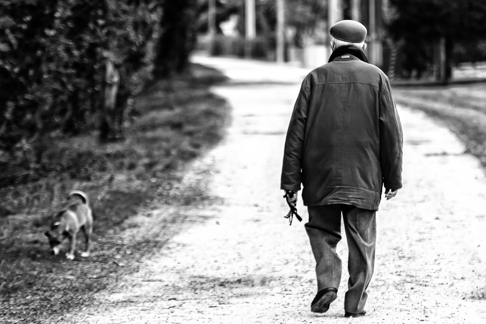 the old and the dog ....