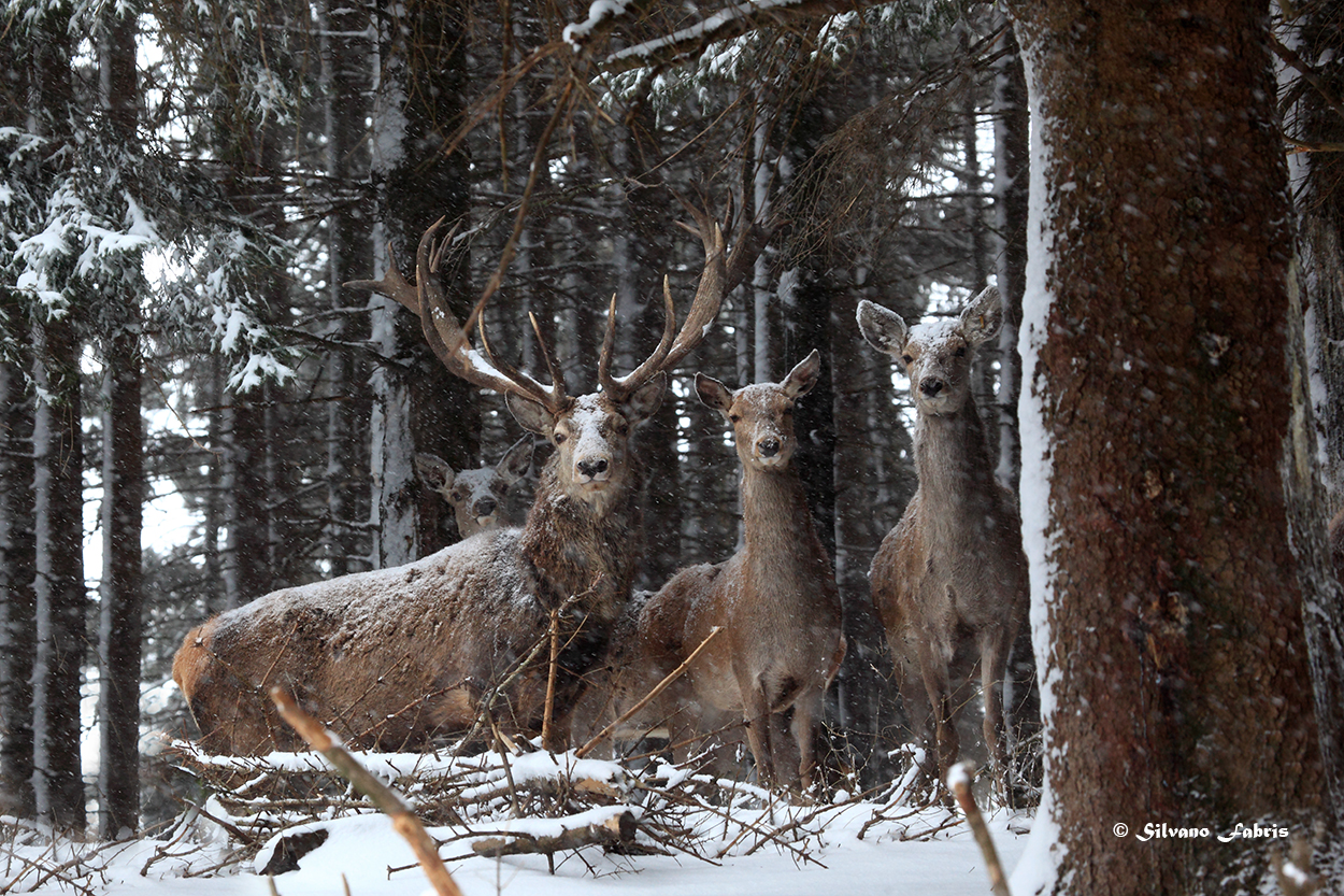 Unity is strength...