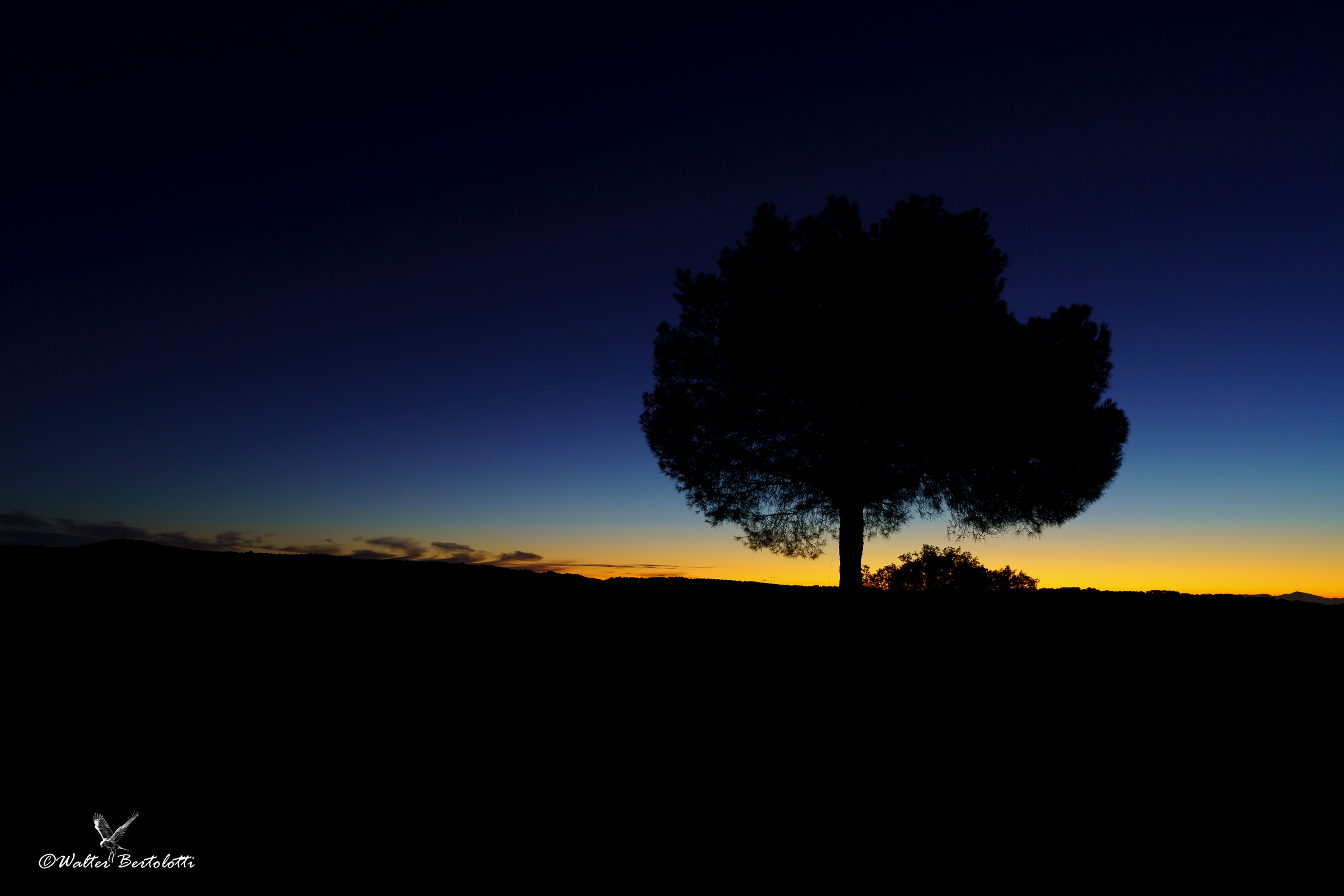 l'aurora sulla Sierra