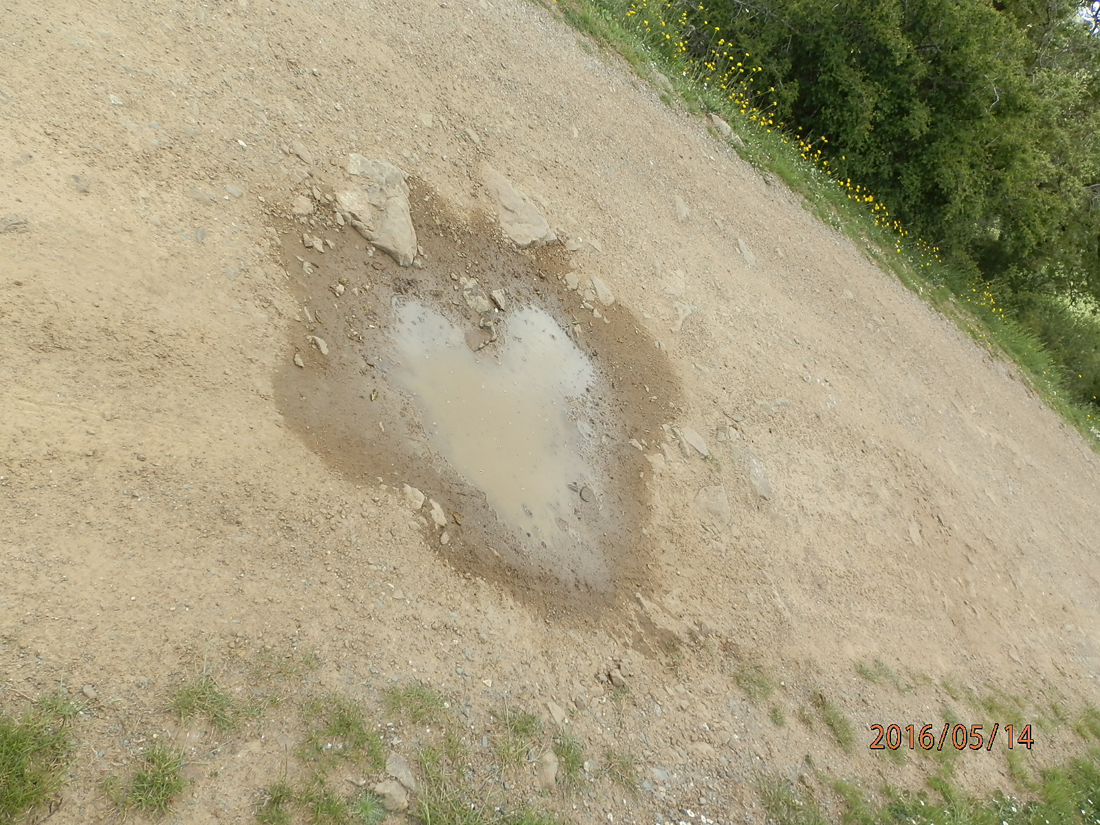 mud heart