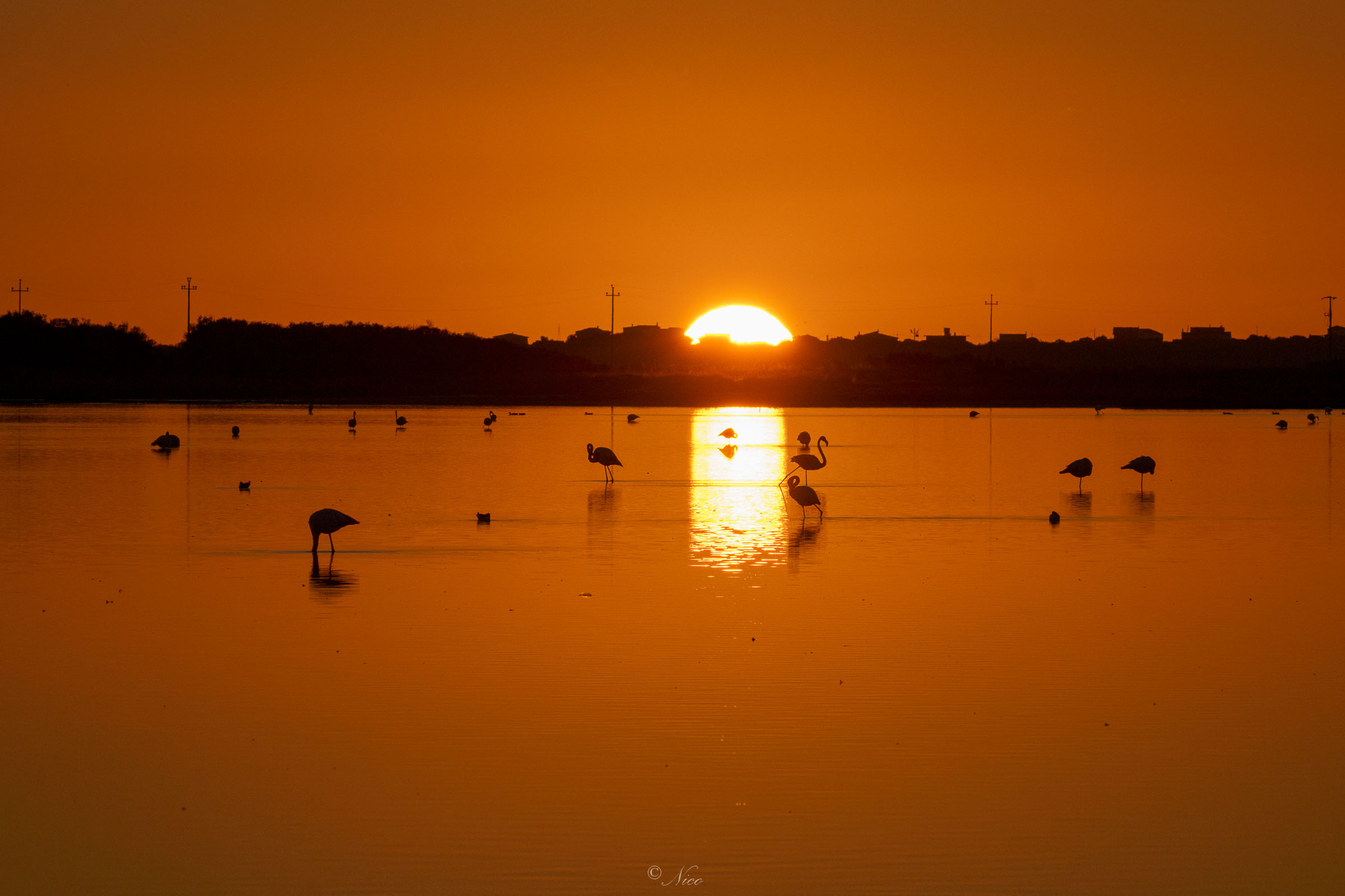 Tramonto con i miei amici