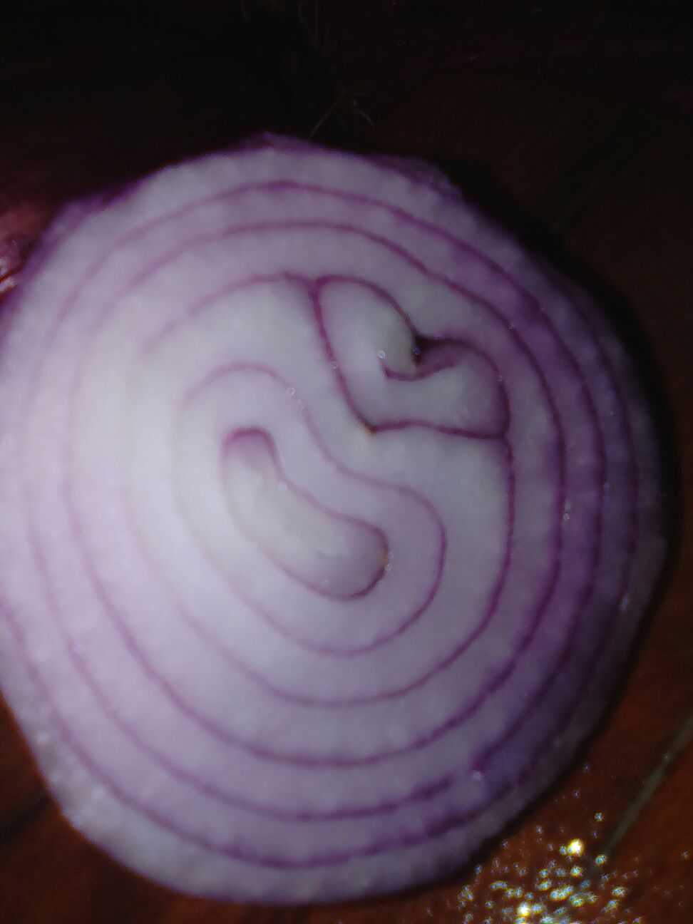 onion