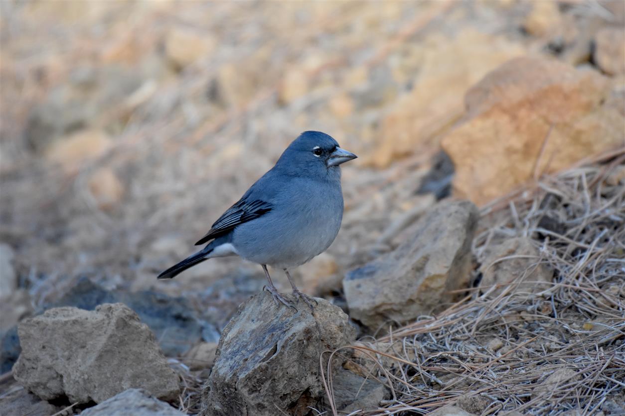 un incontro che non si dimentica