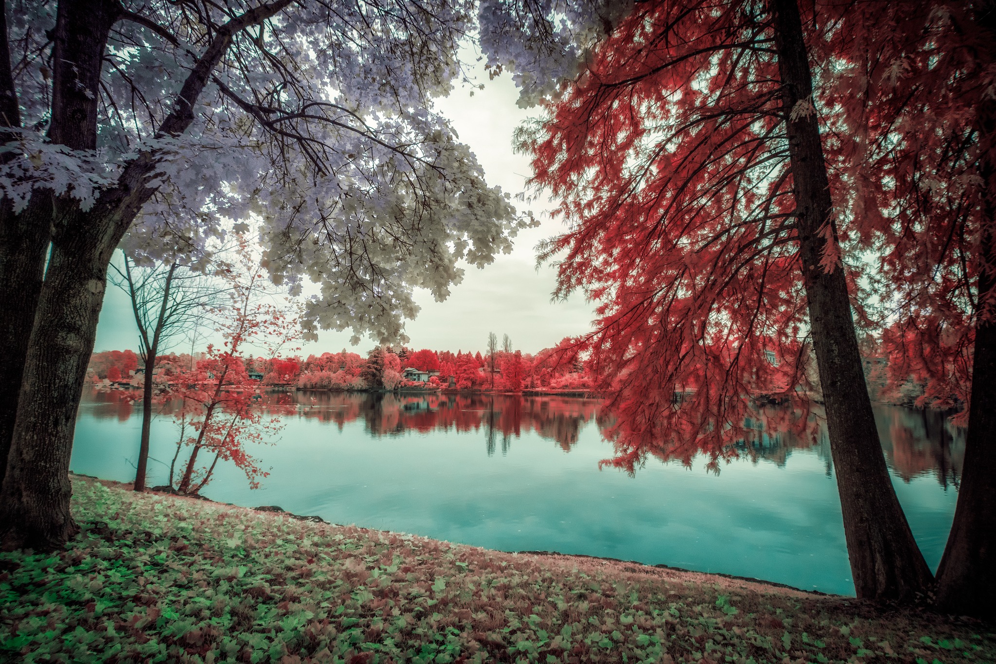 Fiume Ticino a Sesto Calende (va) - Lombardia