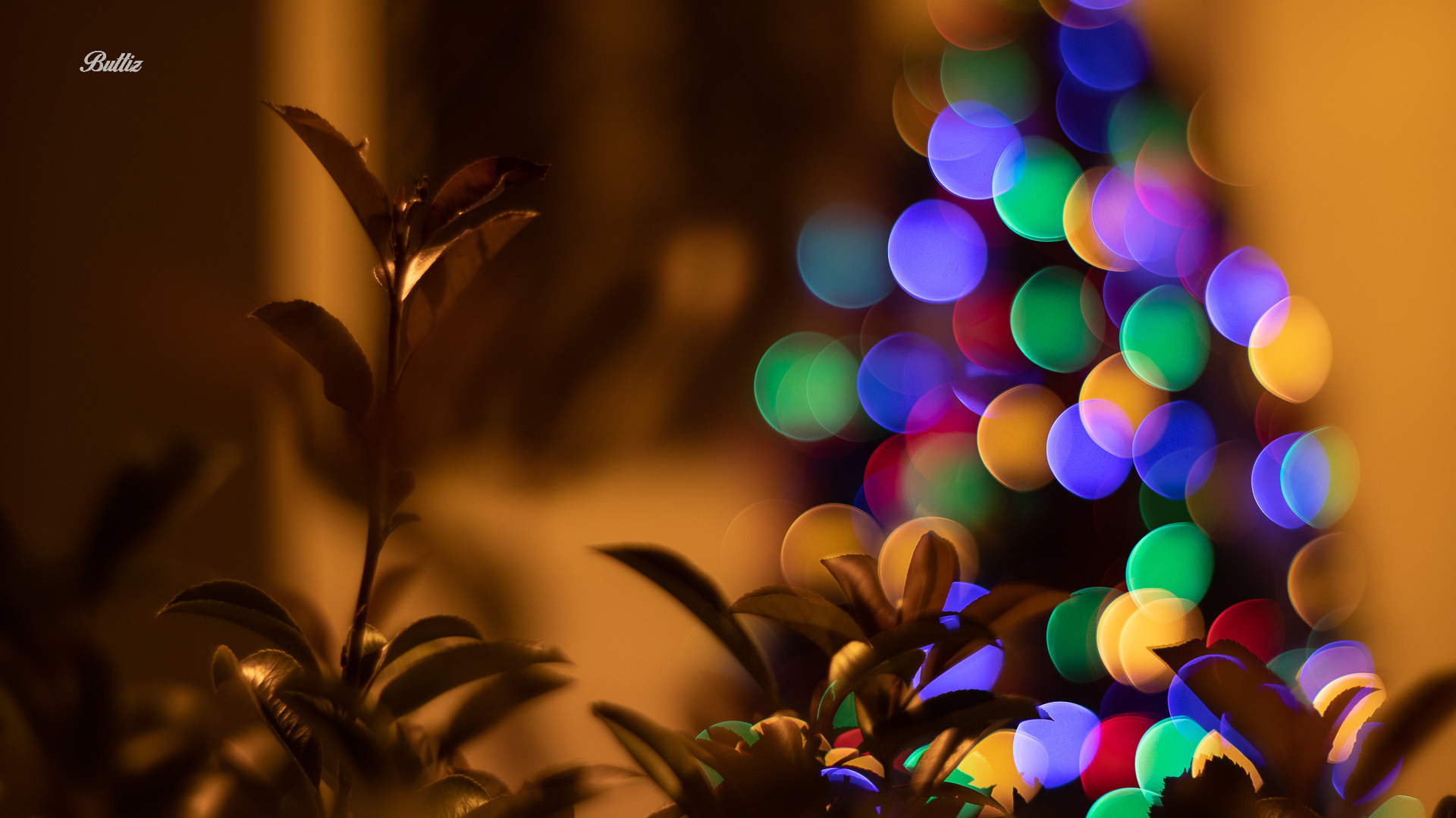 Canon TV Lens 50mm f0.95