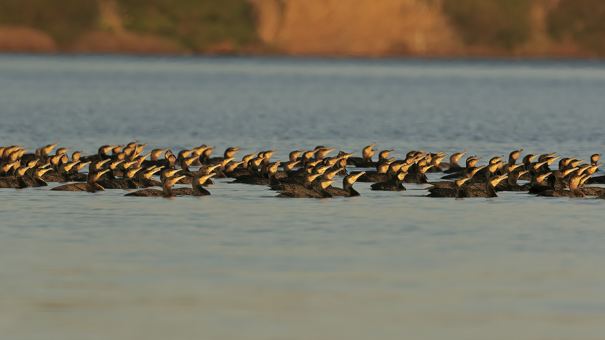 Se guardate davanti a voi potete vedere Orbetello.