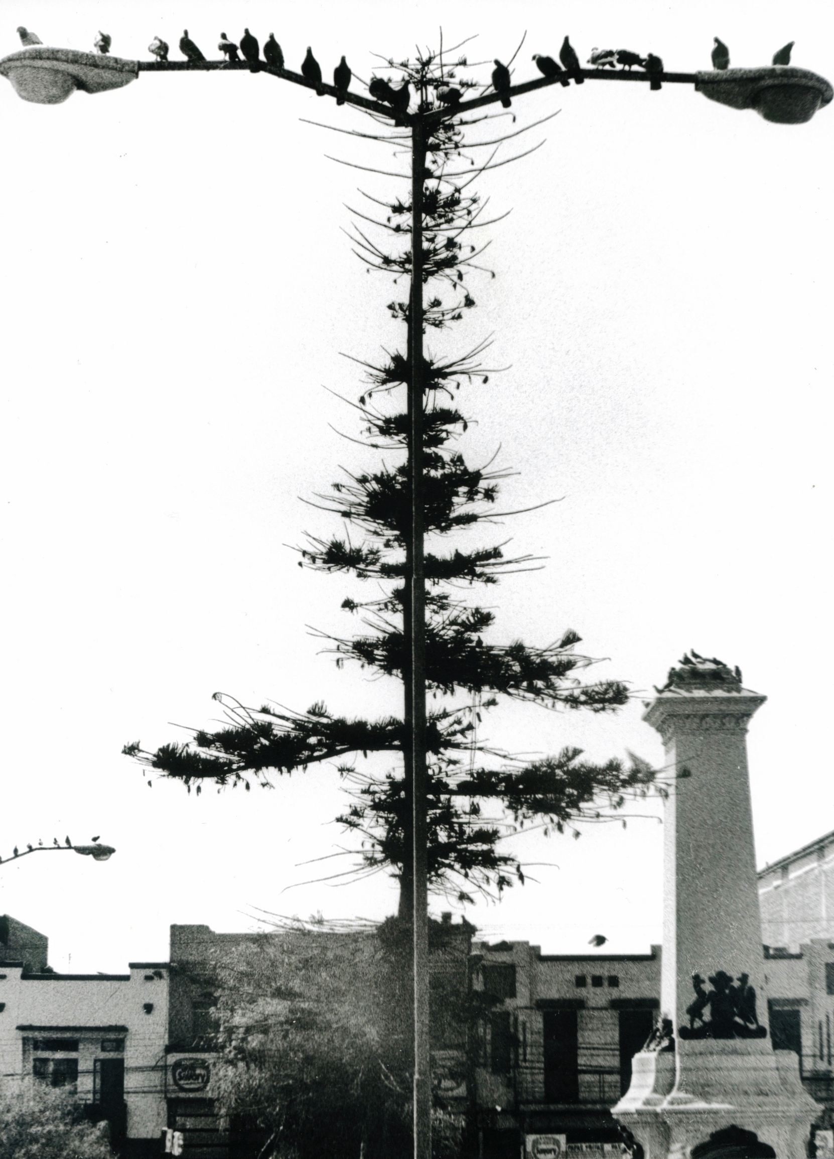 Light pole with branches