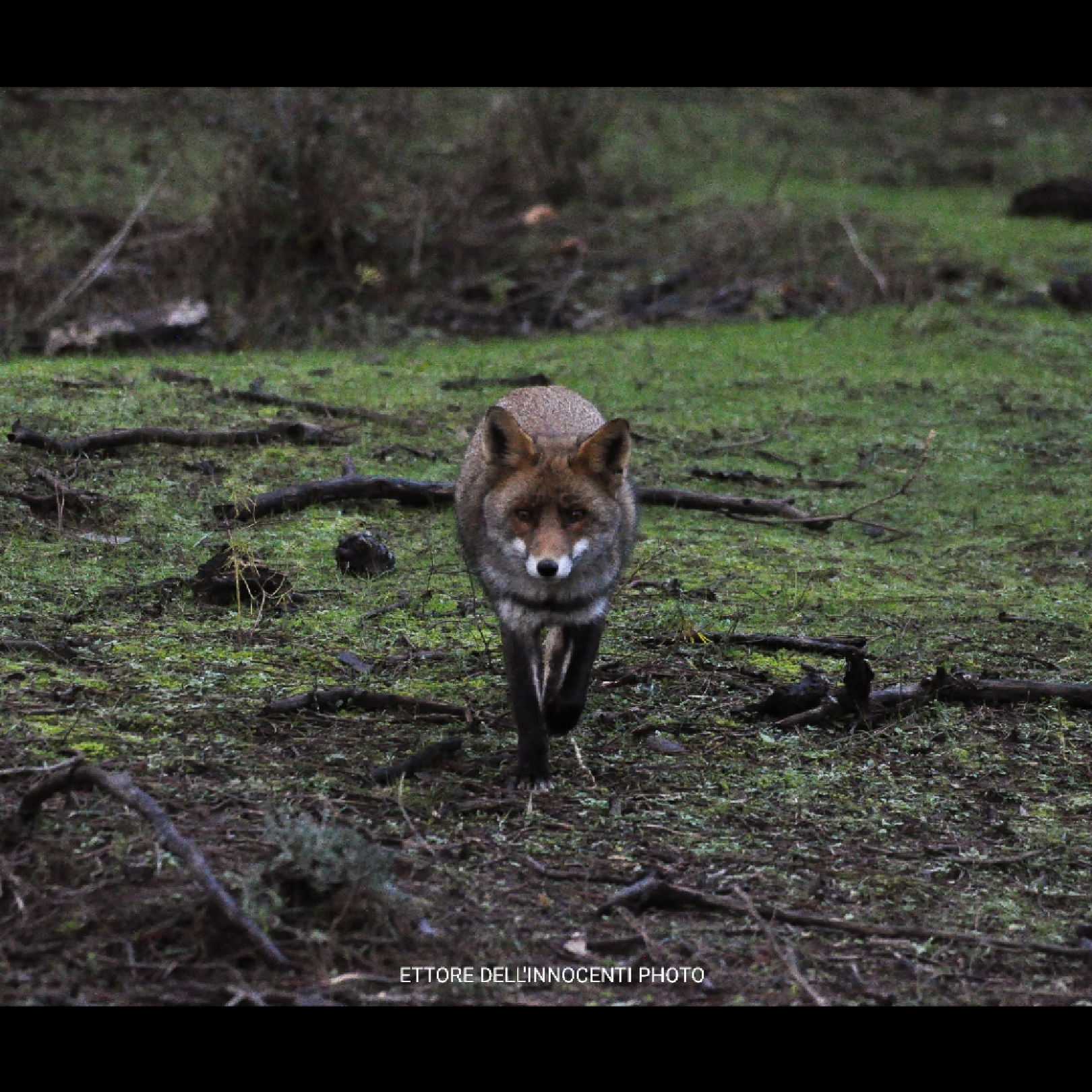 | I got my mind set on you |