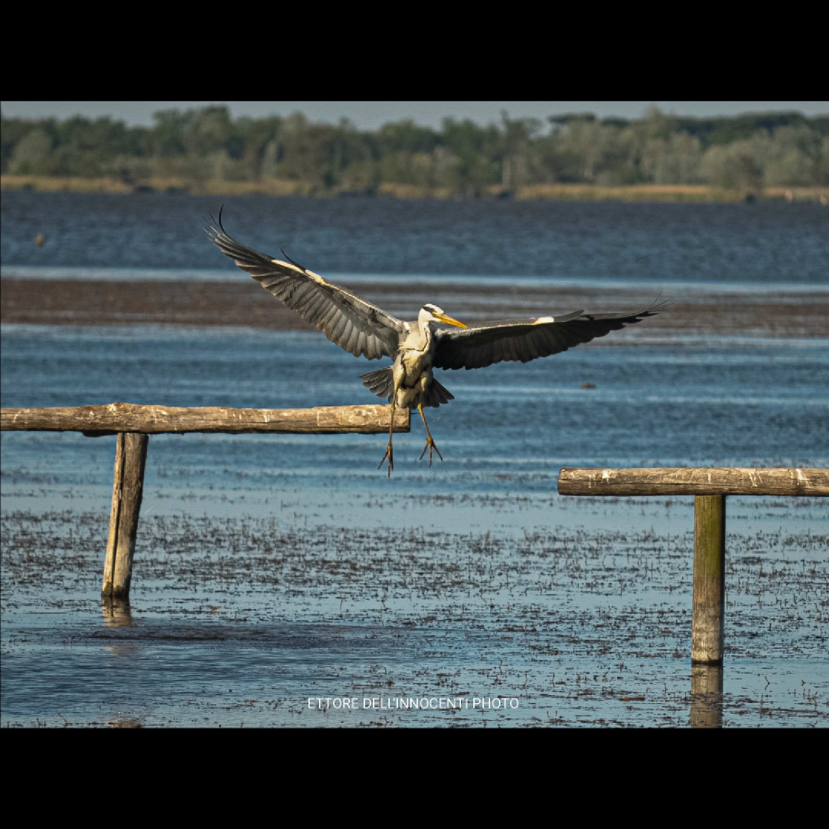 | The game is started |