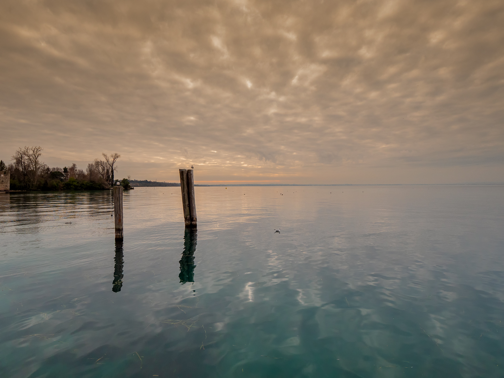 Lazise