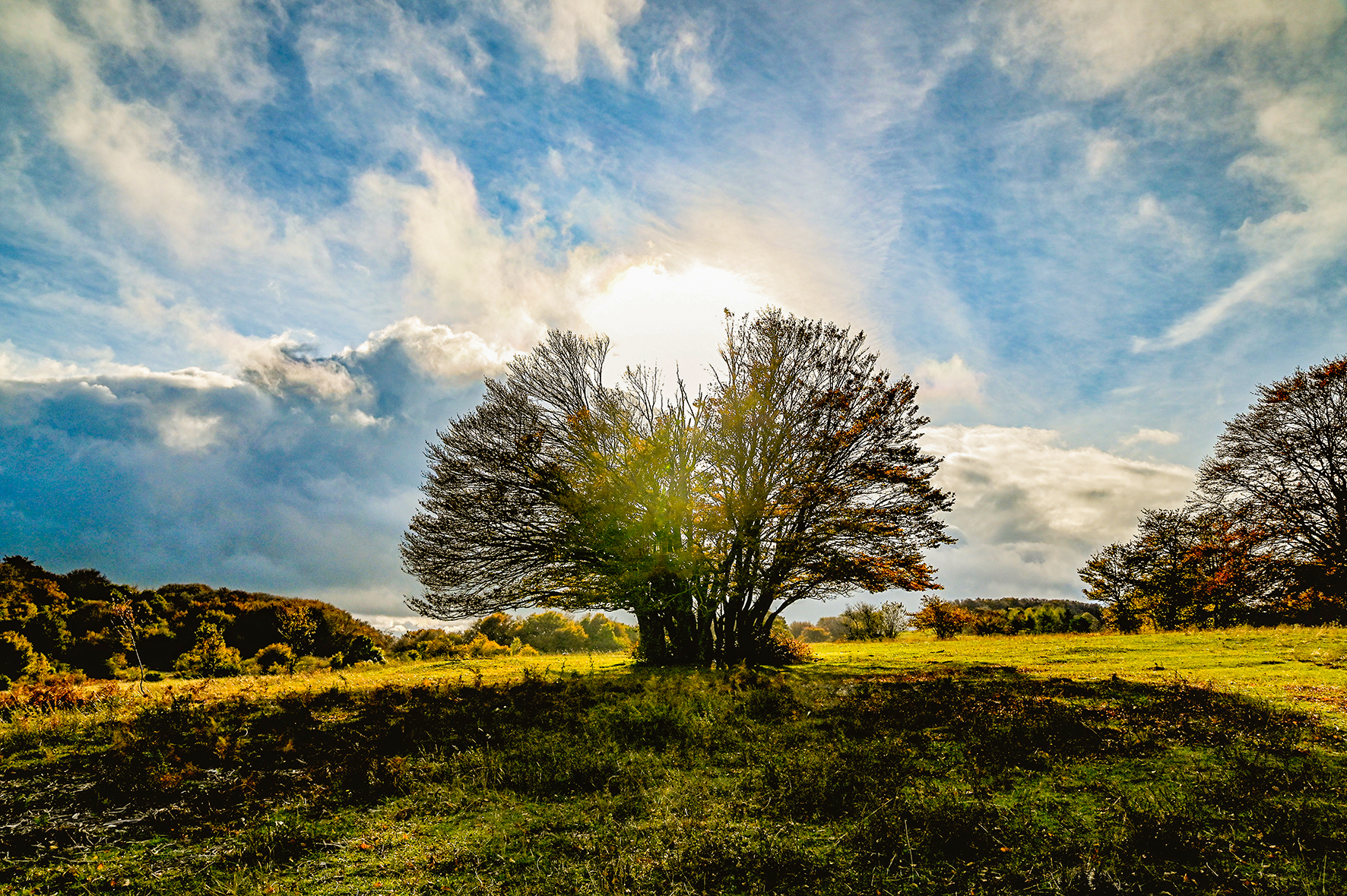 greetings from Canfaito