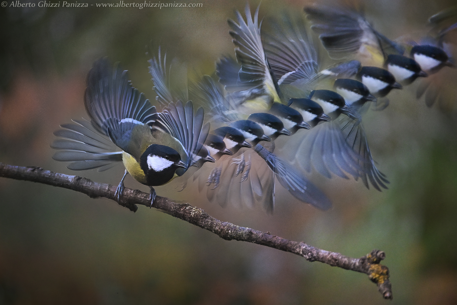 First tests with Z9 at 120fps #3