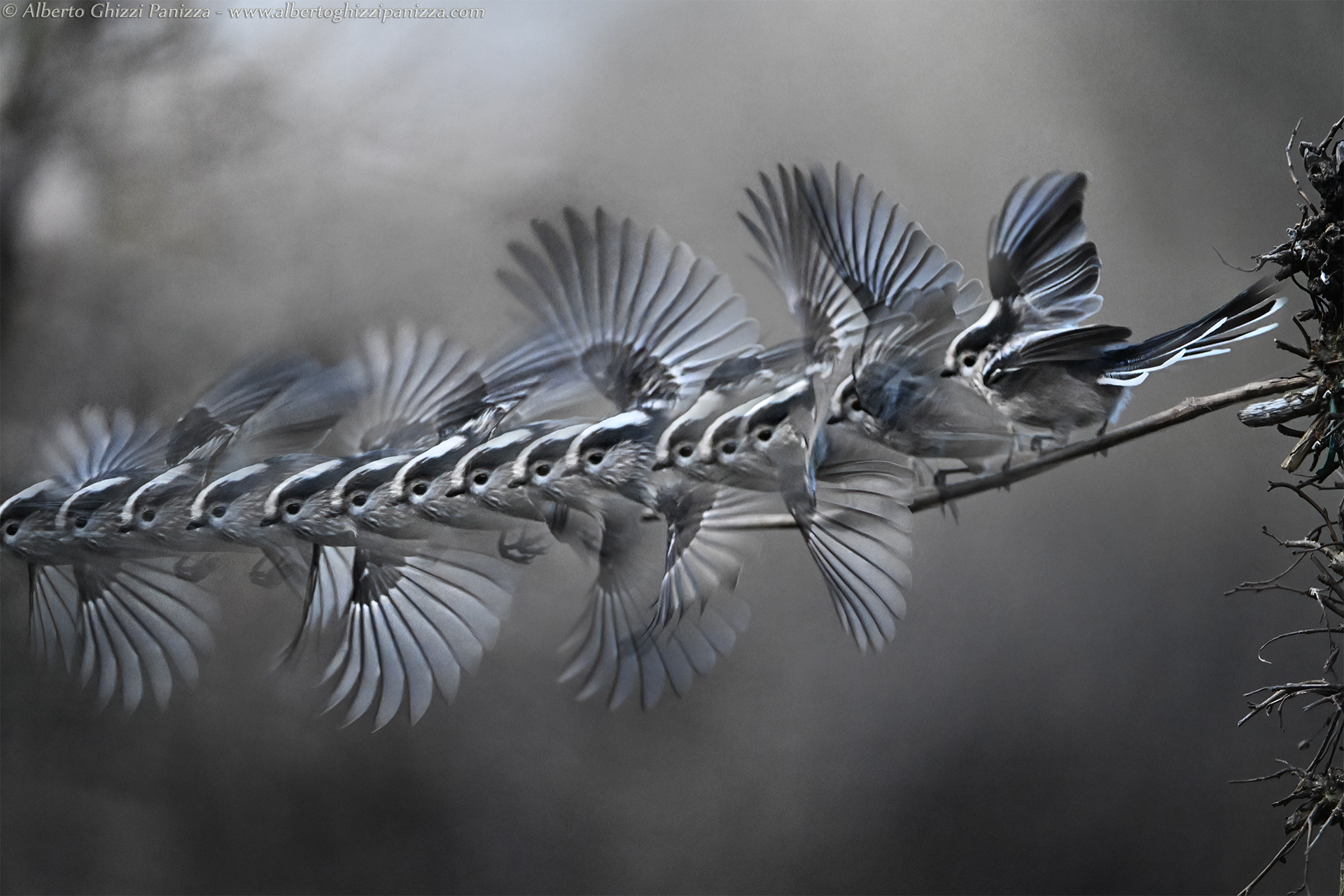 Prime prove con Z9 a 120fps #2