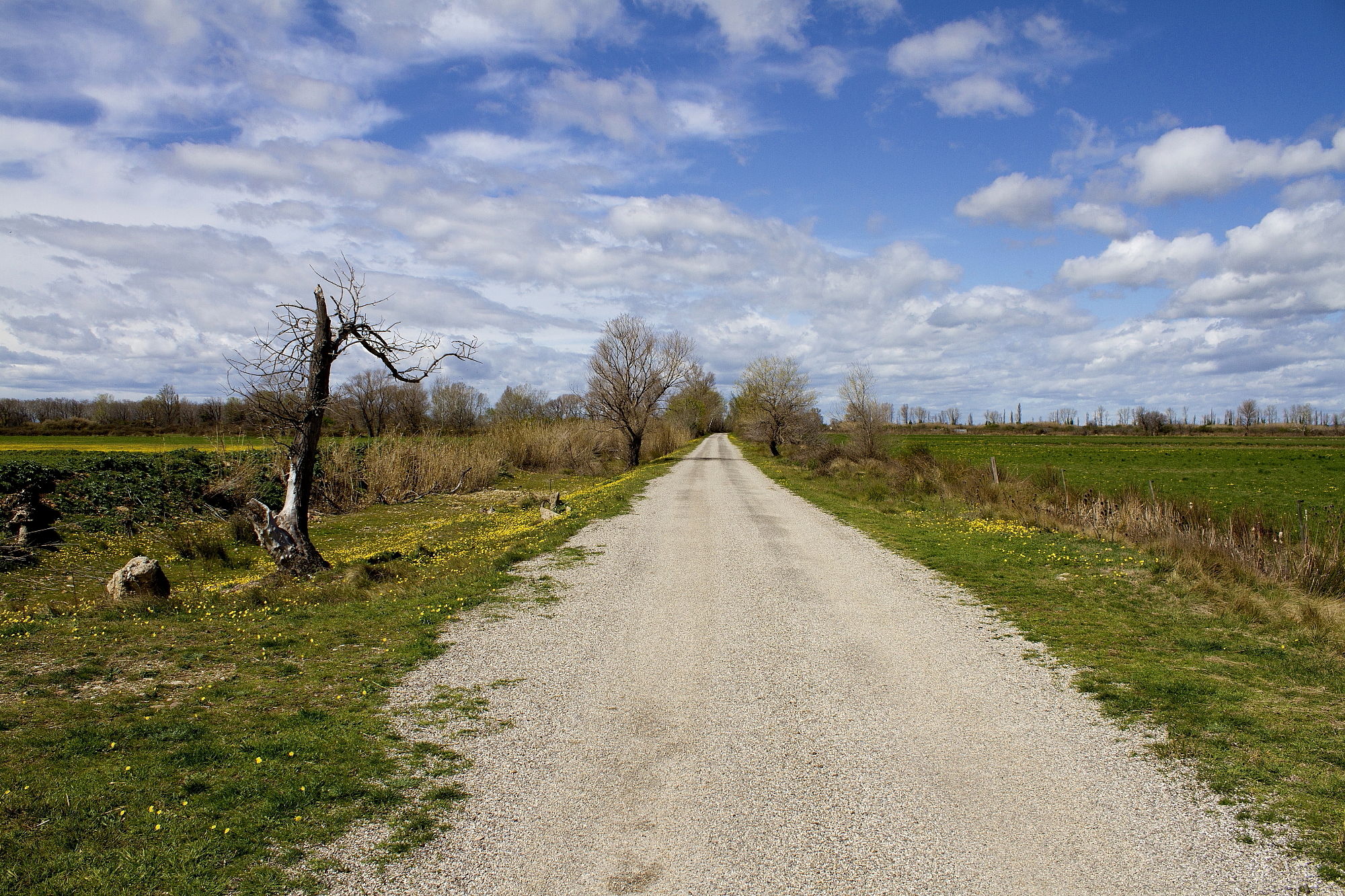 Coussoul de Crau Provenza