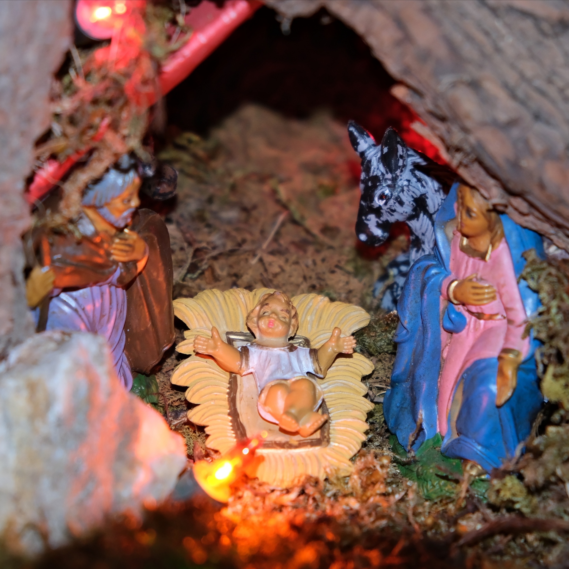 Christmas 2021