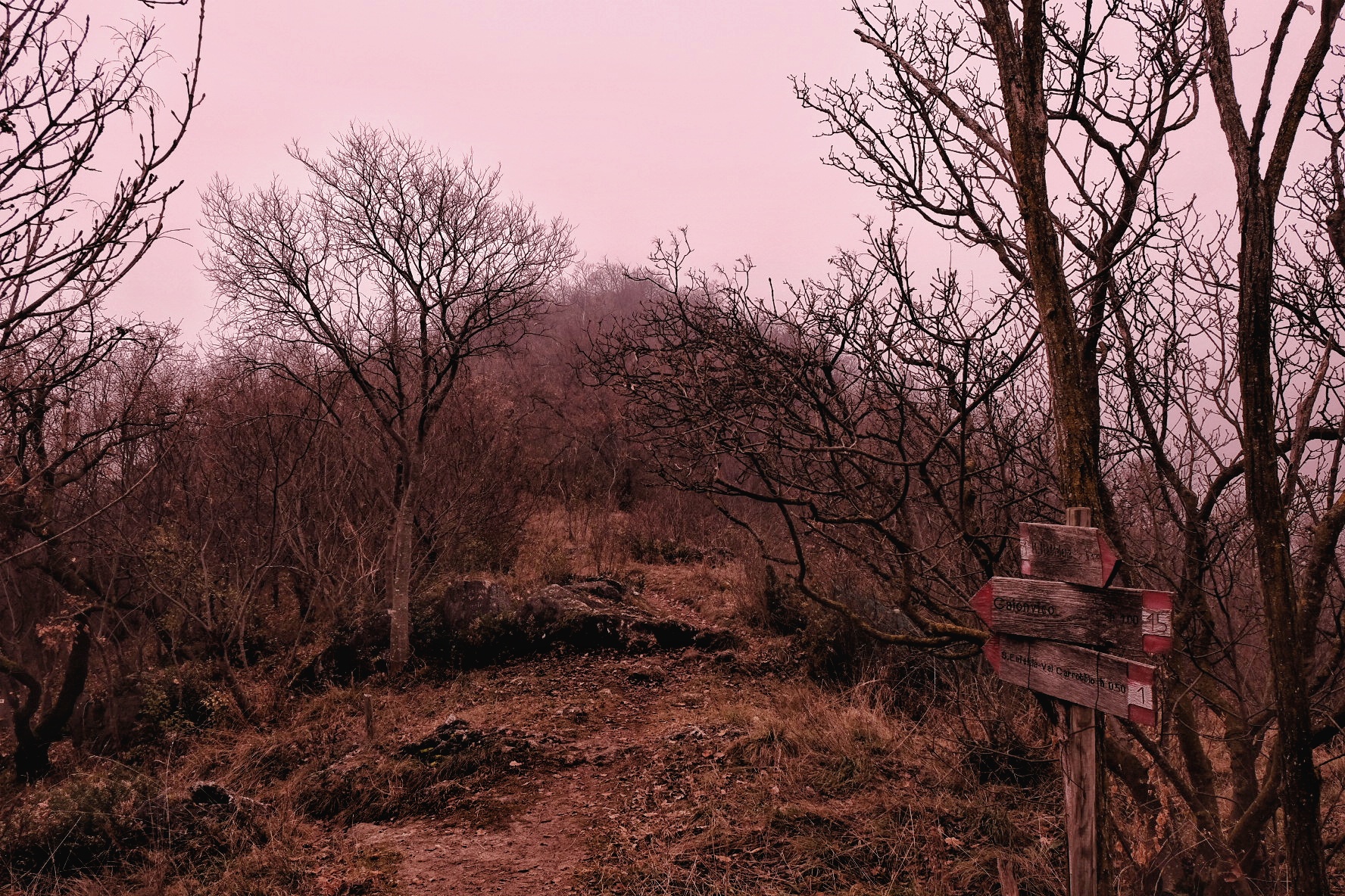 Spooky path
