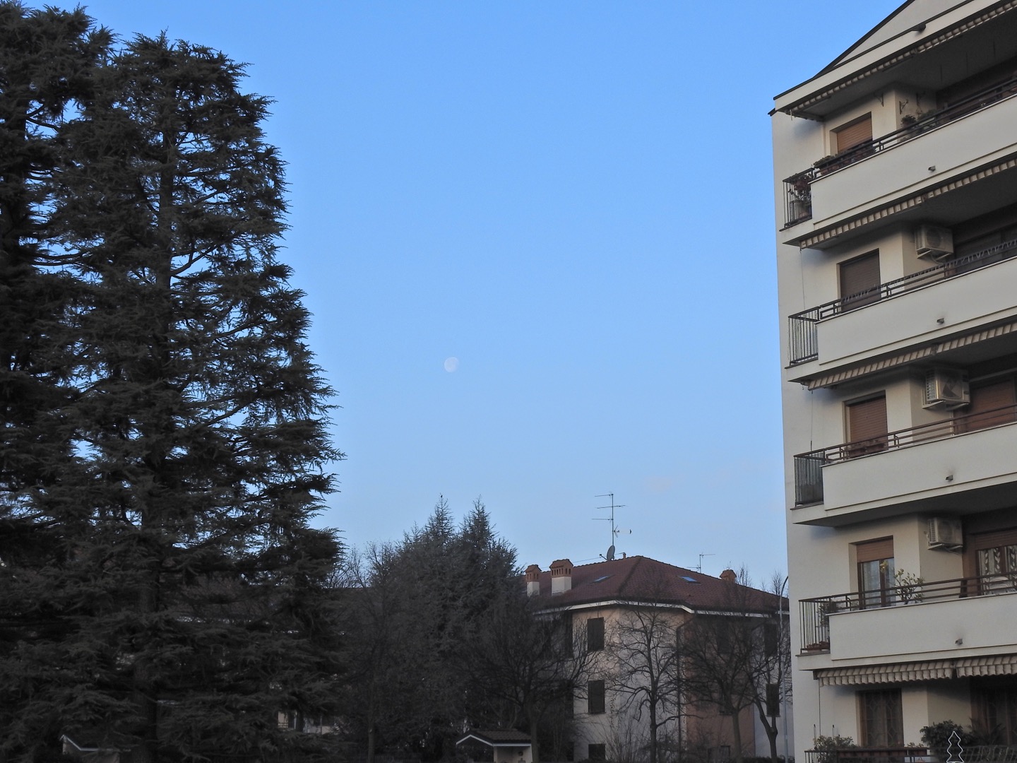 Moon