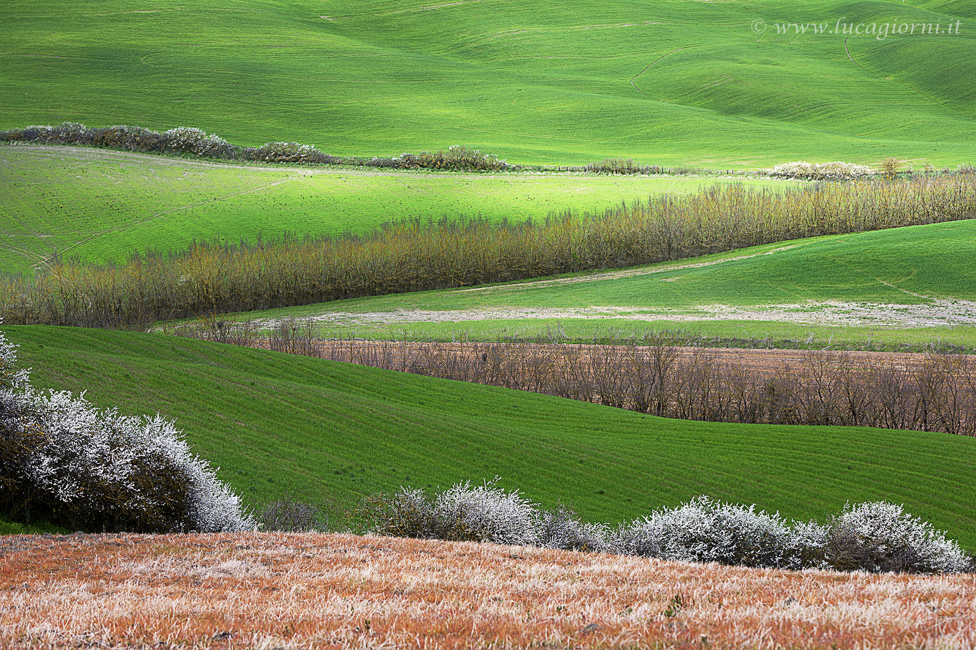 Geometrie di primavera