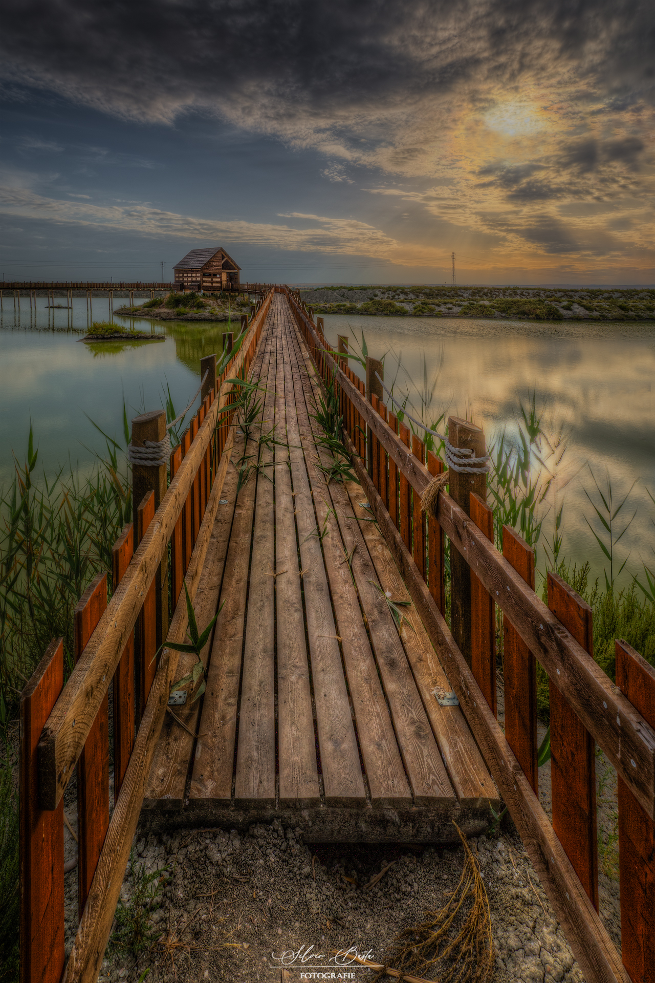 Oasis lagoon of the King