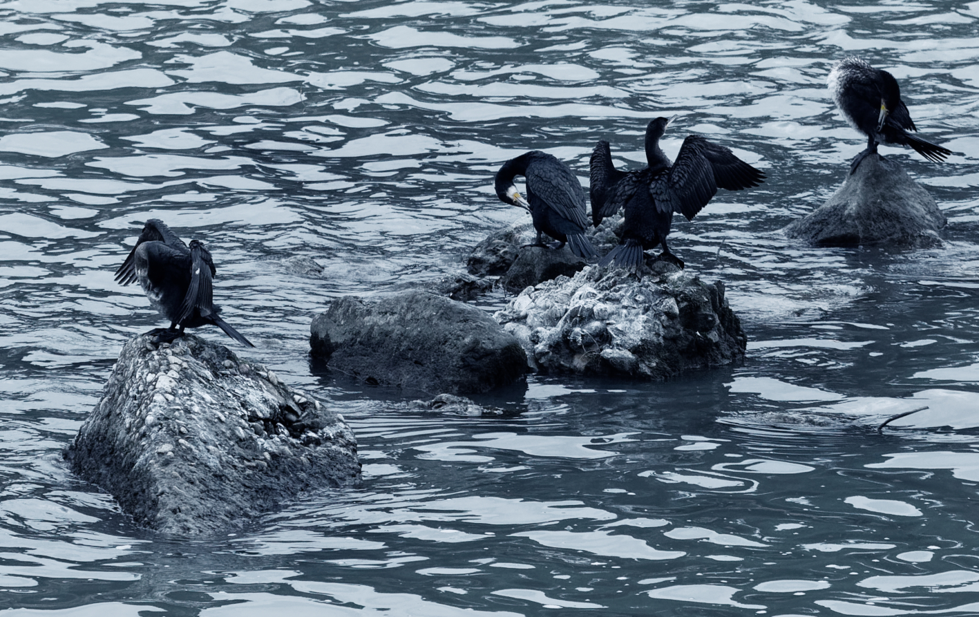 da Ponte Santa Trinita