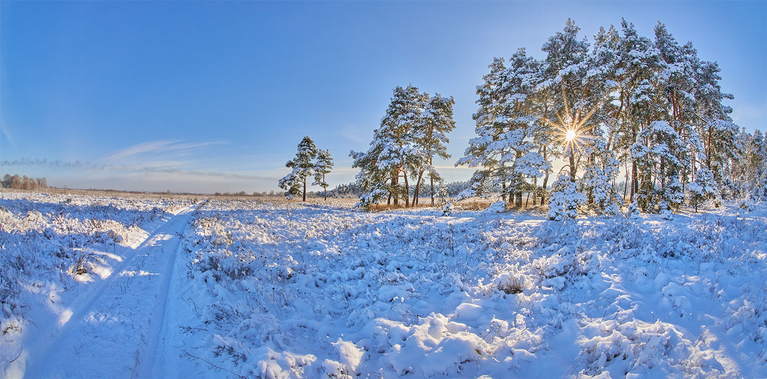 Winter has come to the Ukrainian forest-steppe