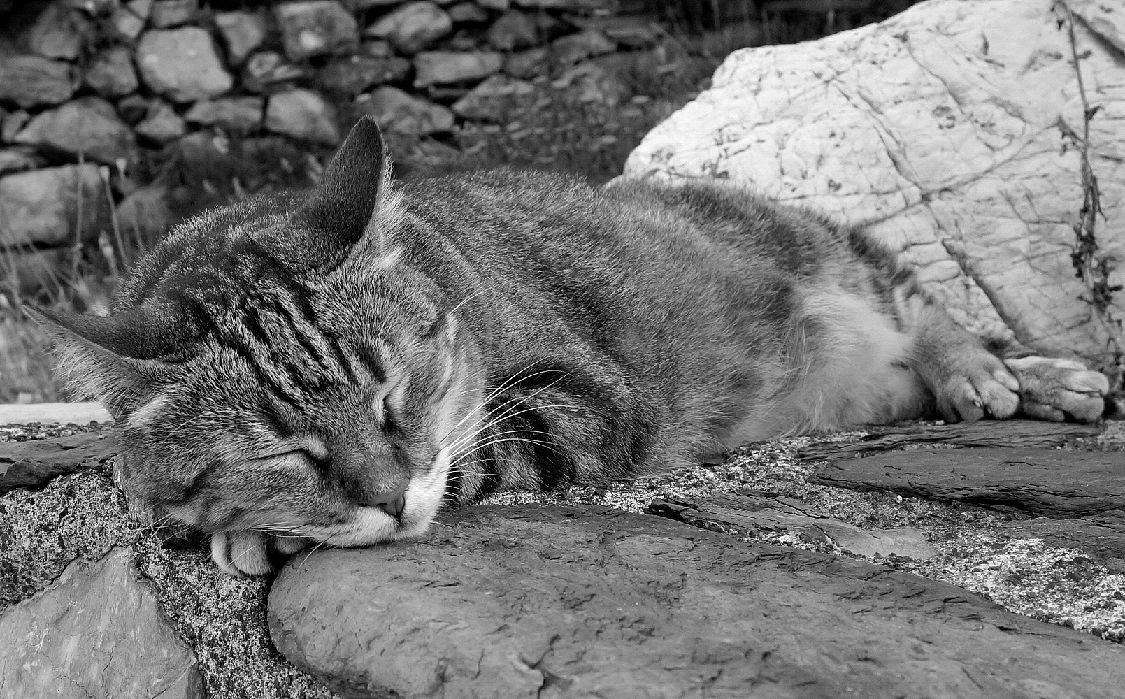 Dopo aver festeggiato!