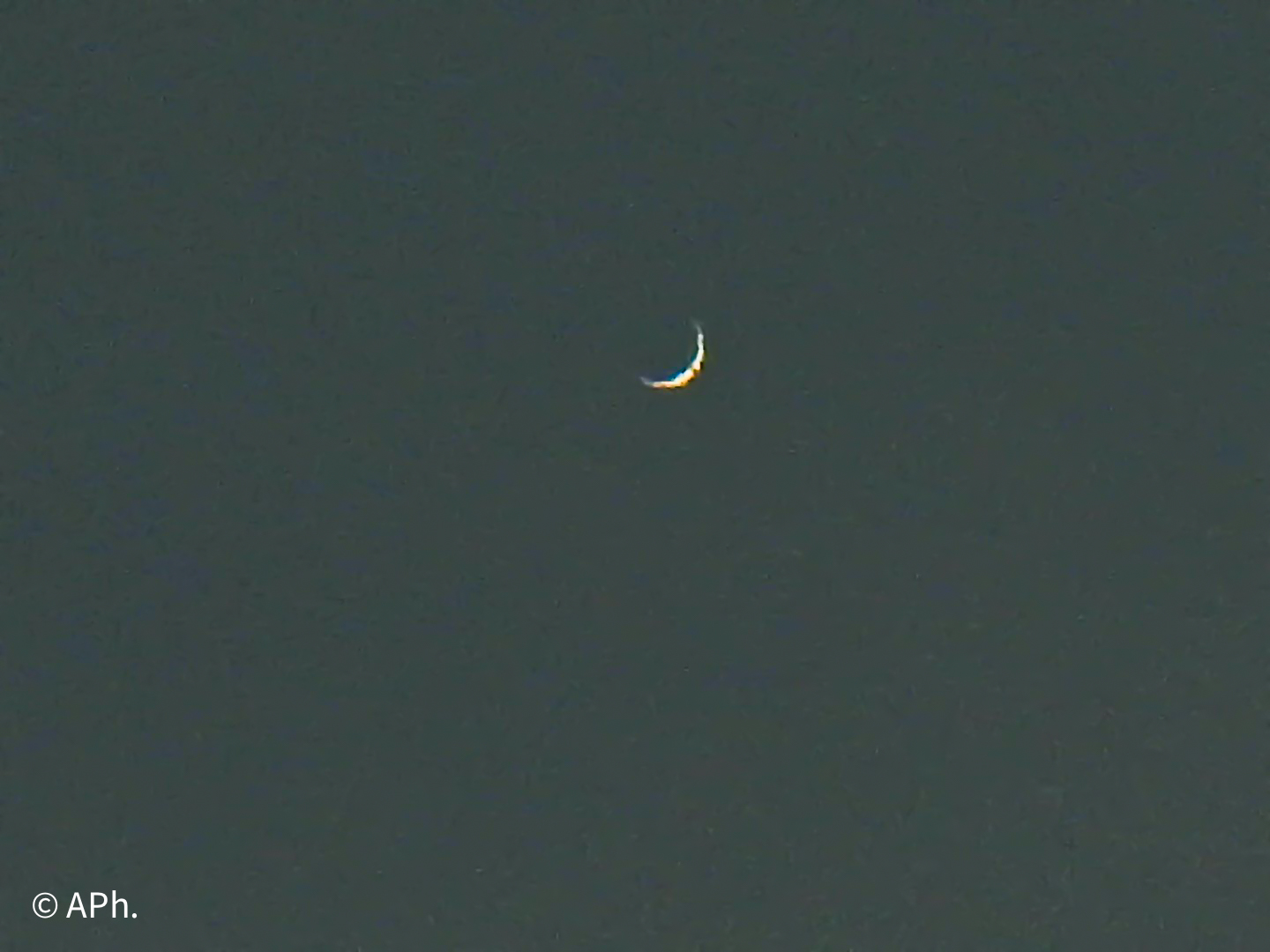 An arc prime of Venus.
