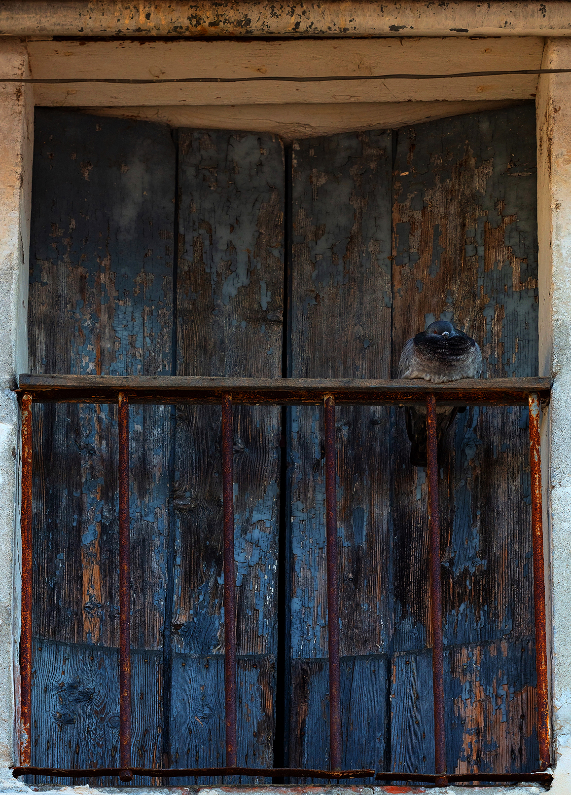 Christmas 2021, Piazzola sul Brenta, Padova