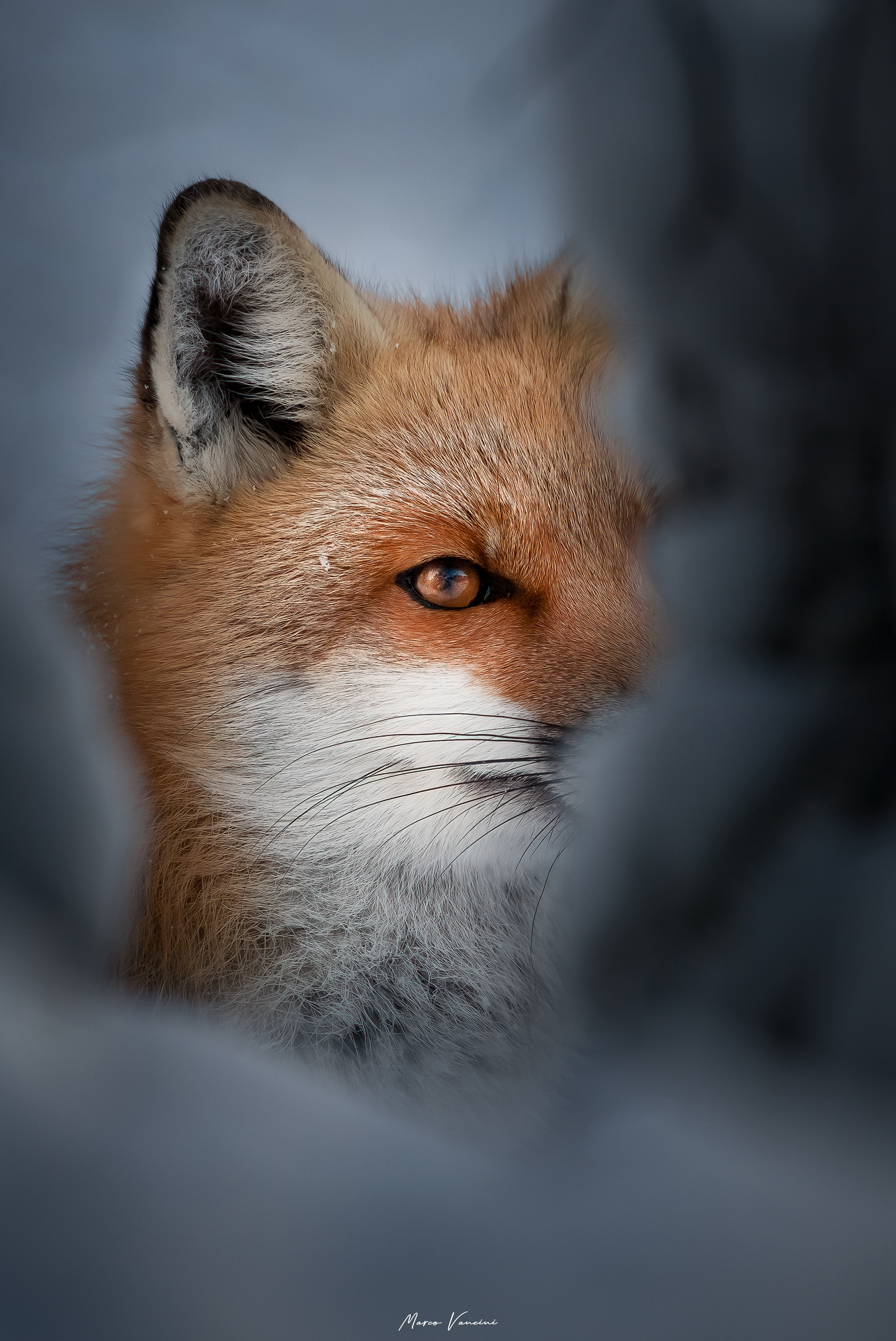 hidden away
