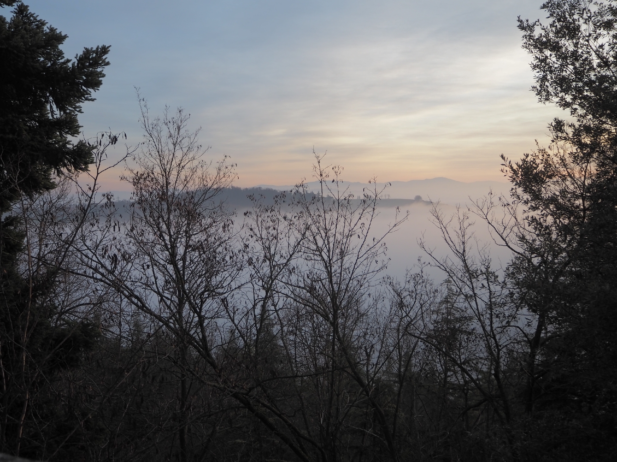 Bologna, fog seen from San Luca